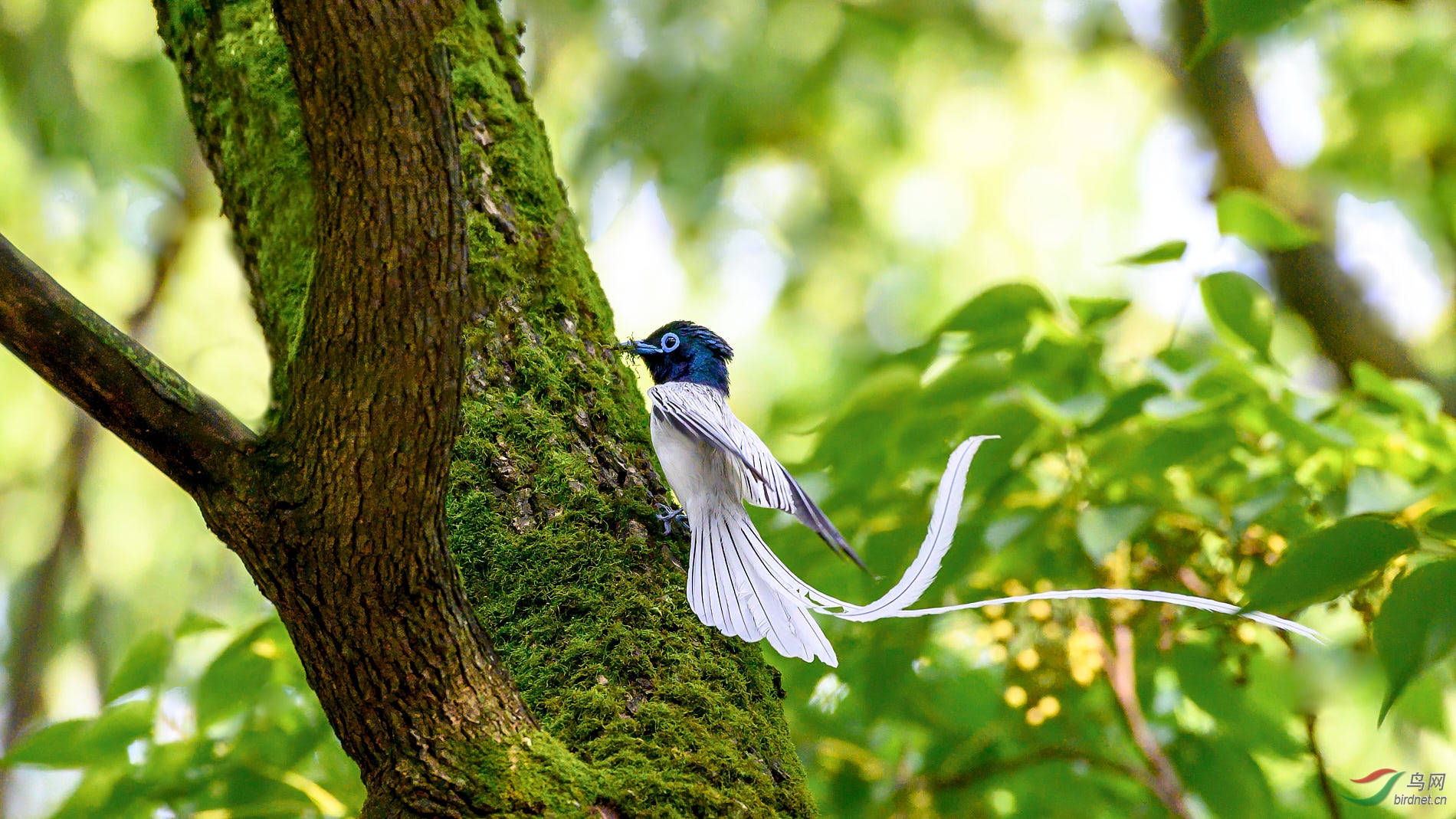 ����_DSC4962 1.jpg