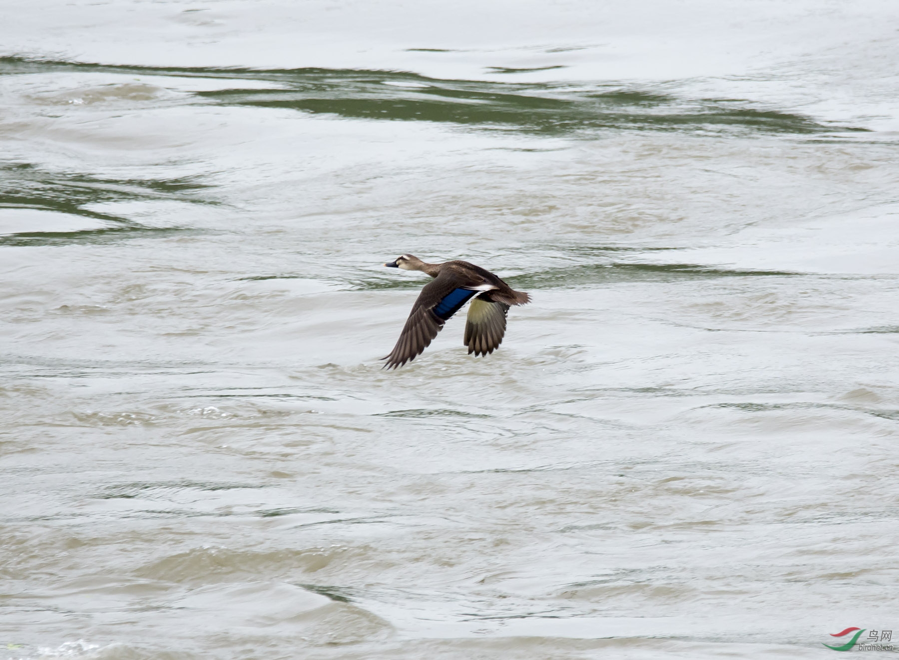 DSC_1214.jpg