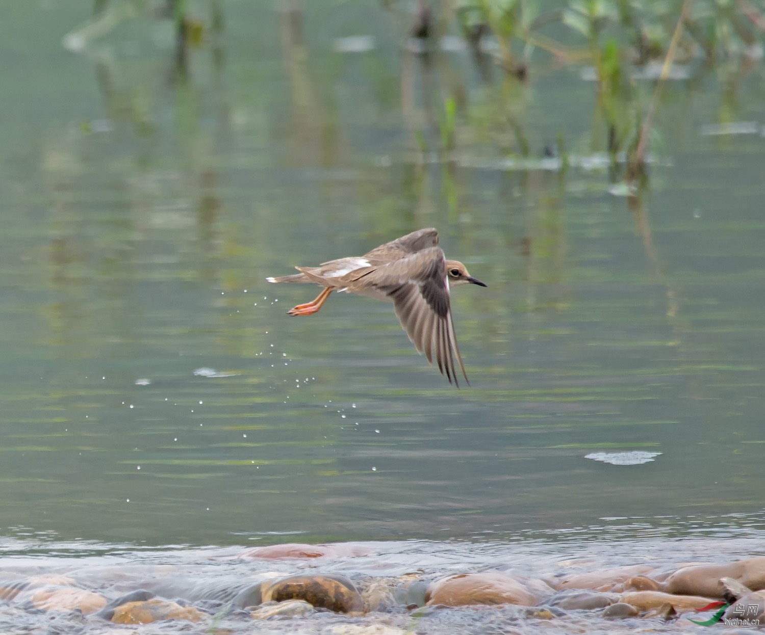 DSC_0717.jpg