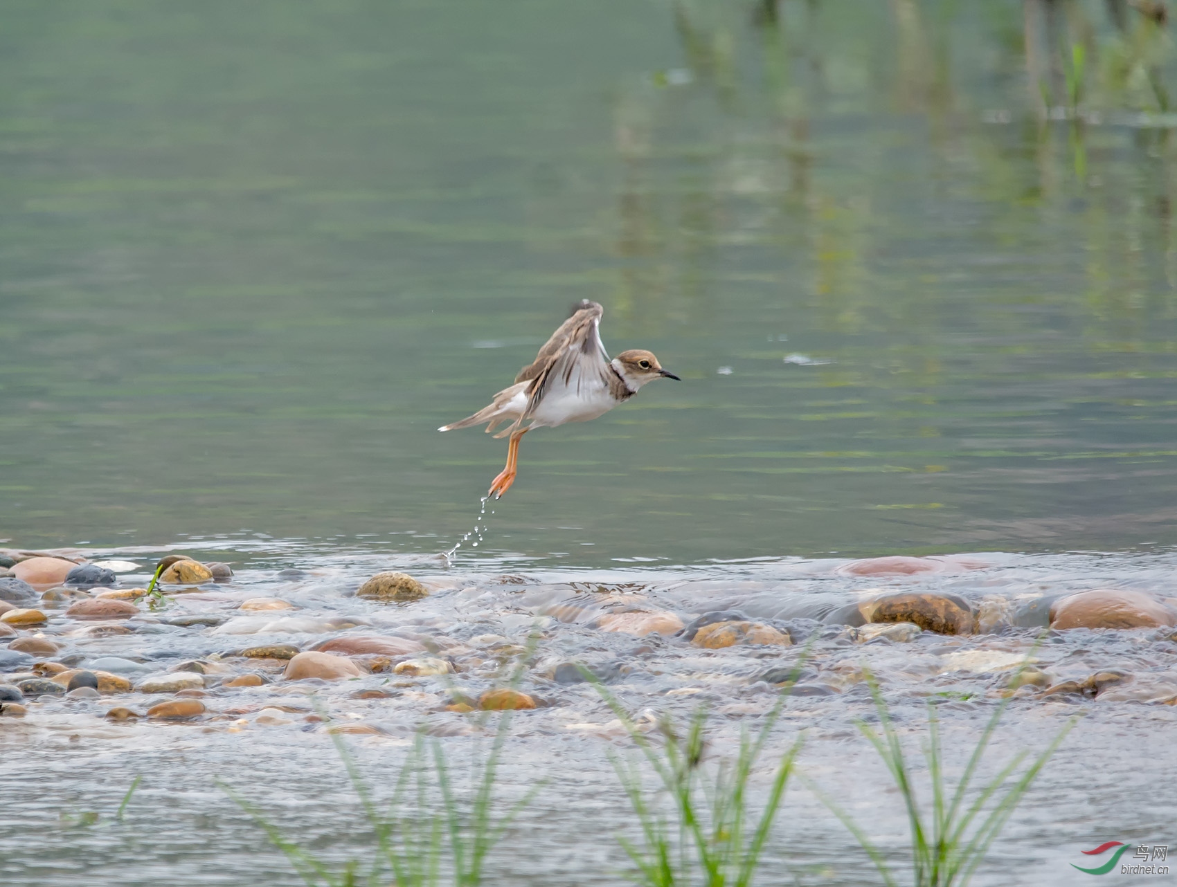 DSC_0716.jpg