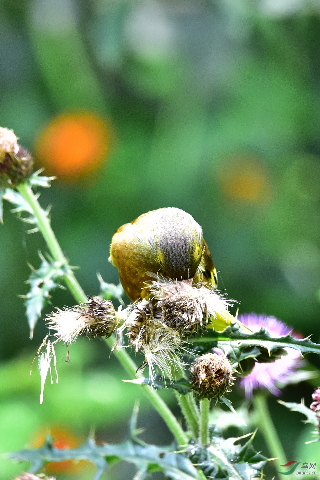 DSC_0840.JPG
