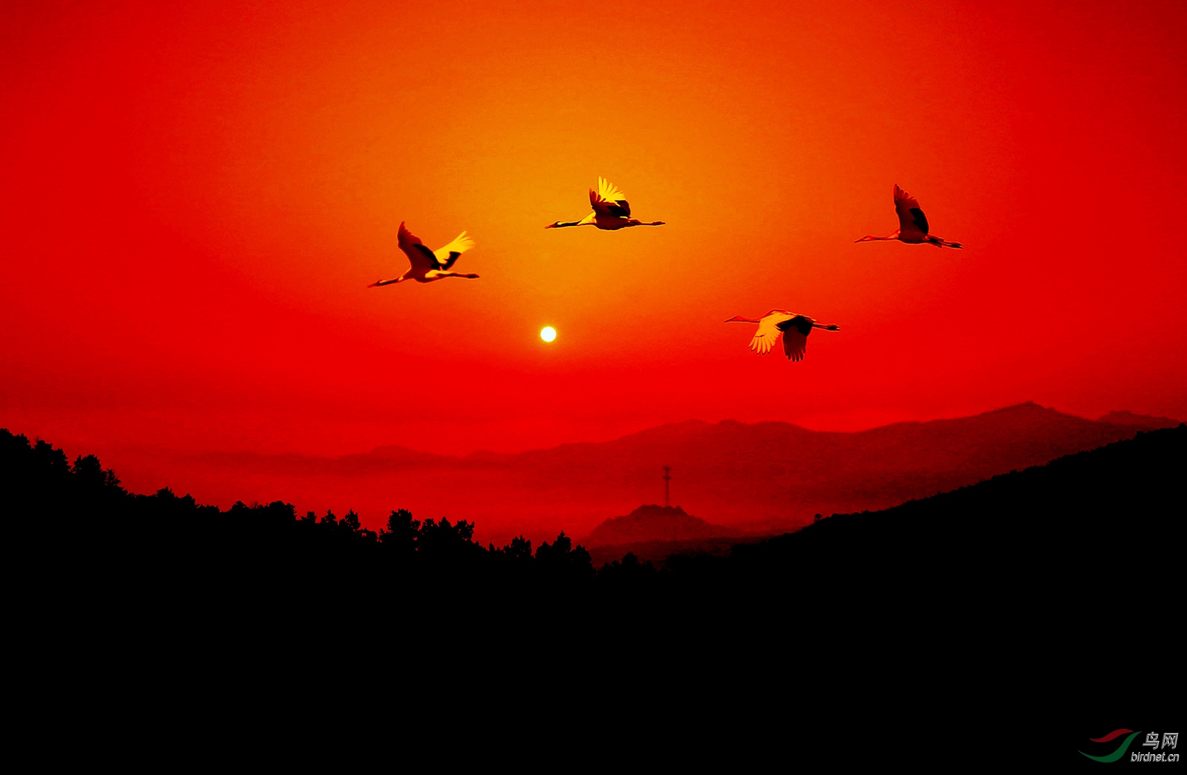 AB0R0011 (1)����.jpg