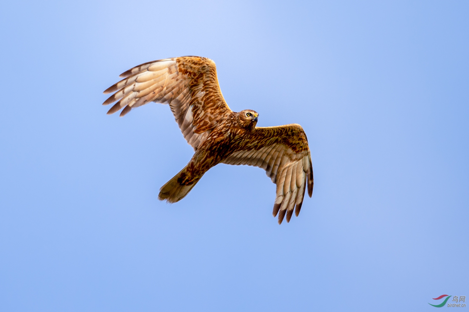 DSC_0393.jpg