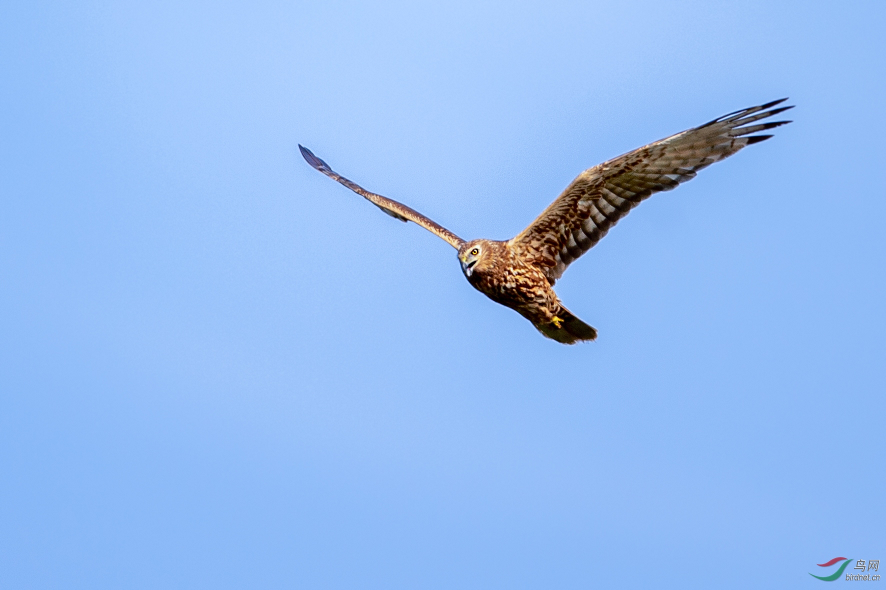 DSC_0382.jpg