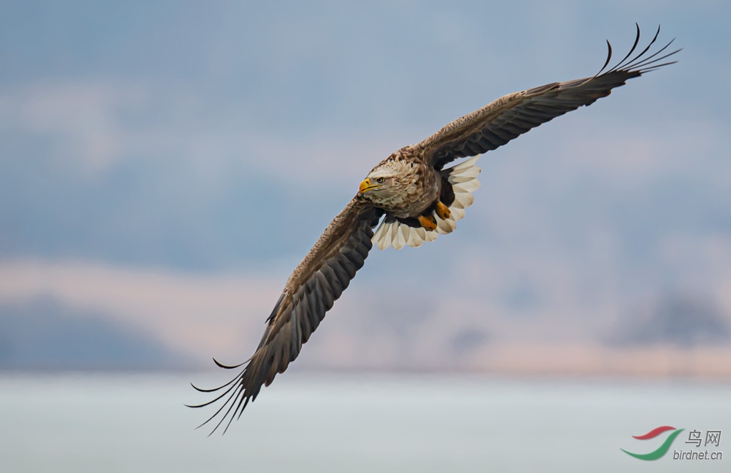 DSC_6020-0.jpg