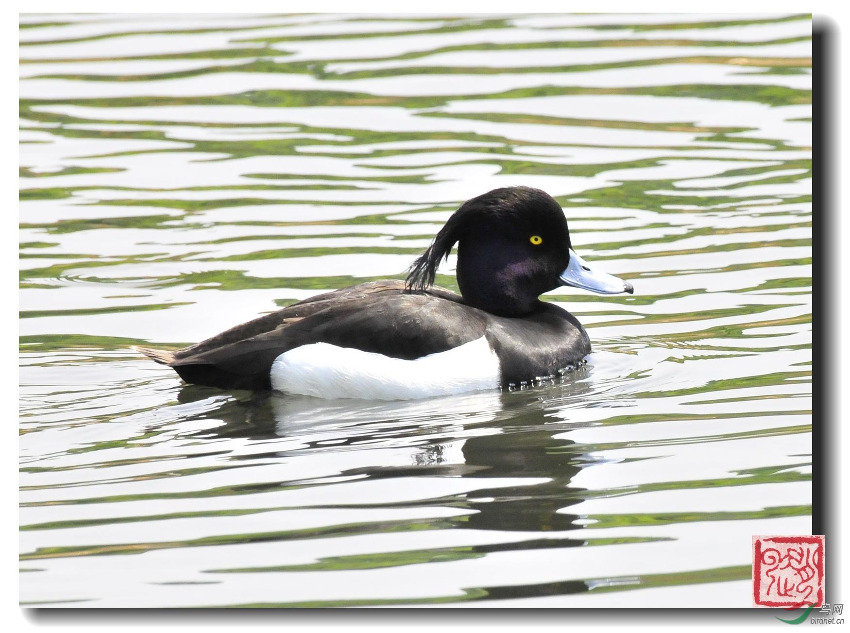 照片 1029-1_副本.jpg