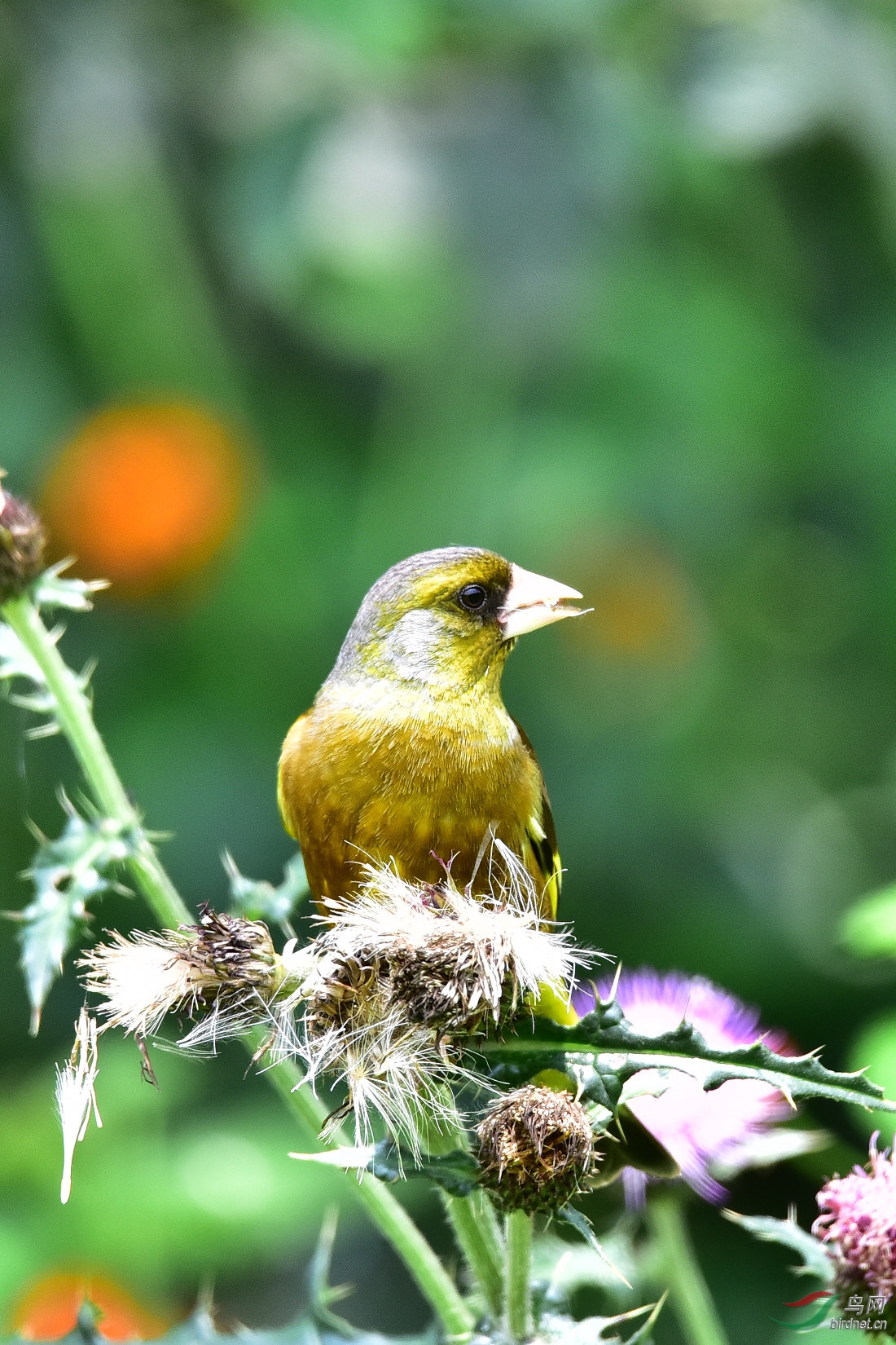 DSC_0846.JPG
