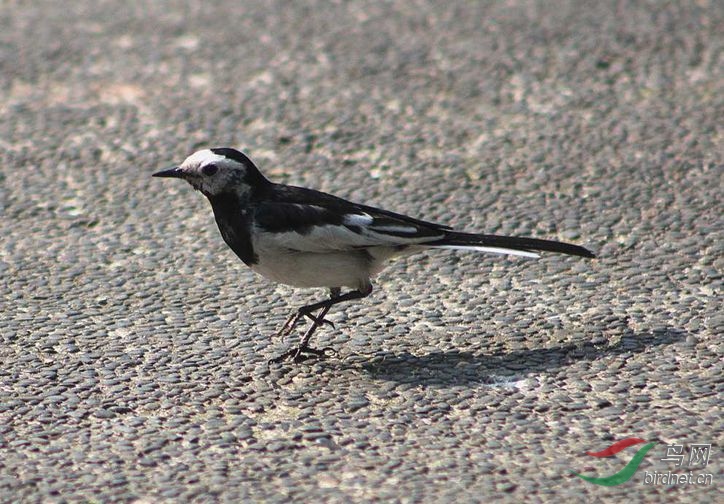 210907jx888xzxmmz6dkau.jpg