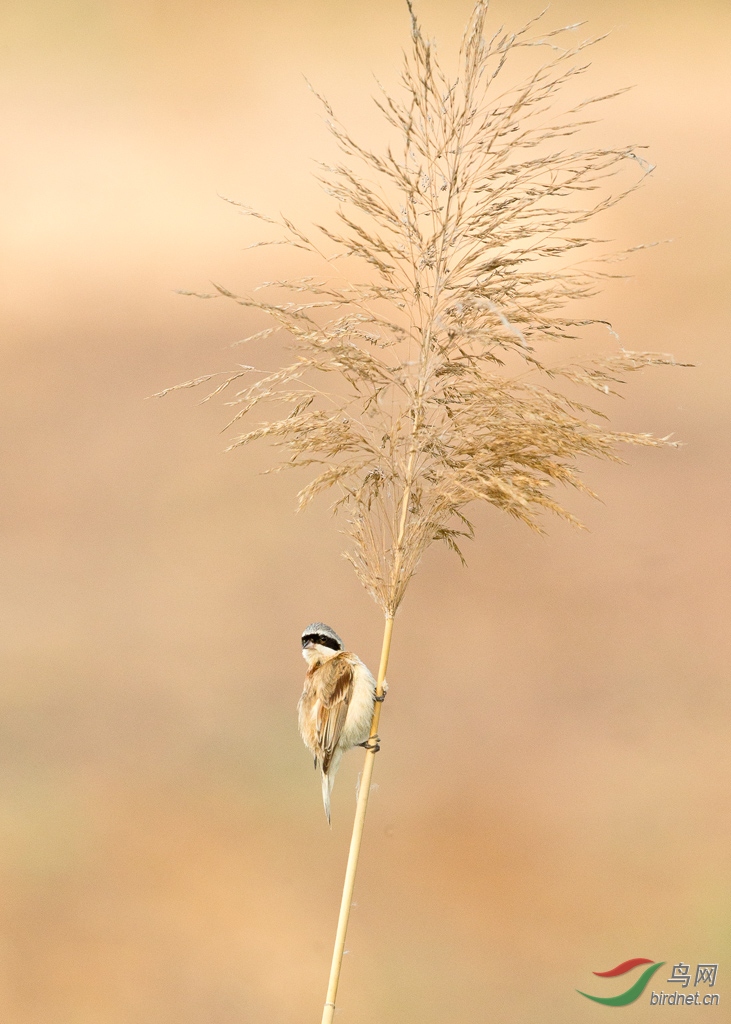 0730«��  ��ȸ.jpg