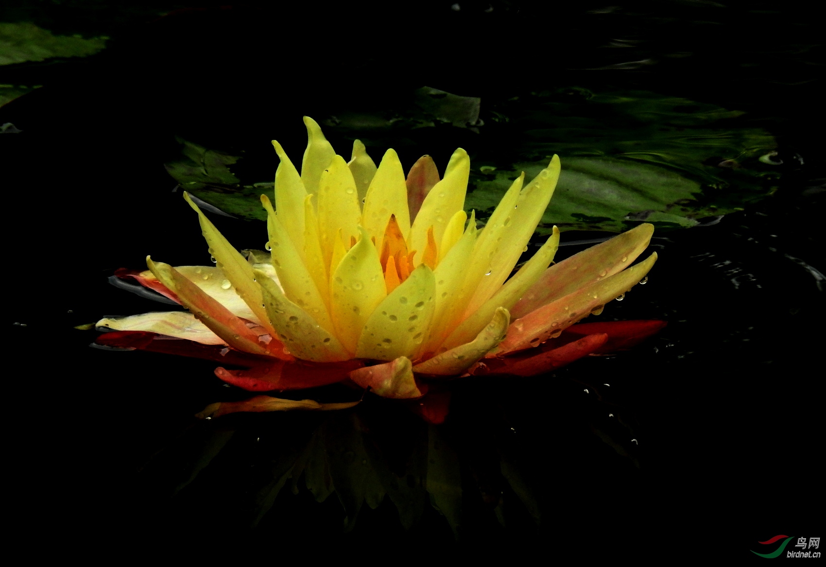DSCN5505.JPG