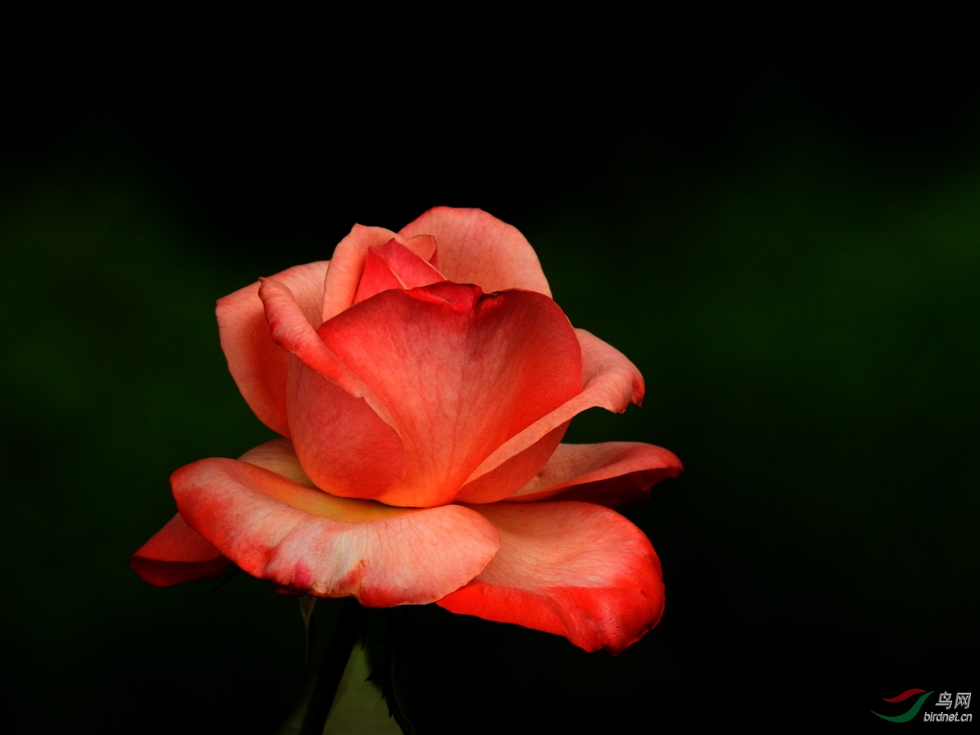DSCN5487.JPG