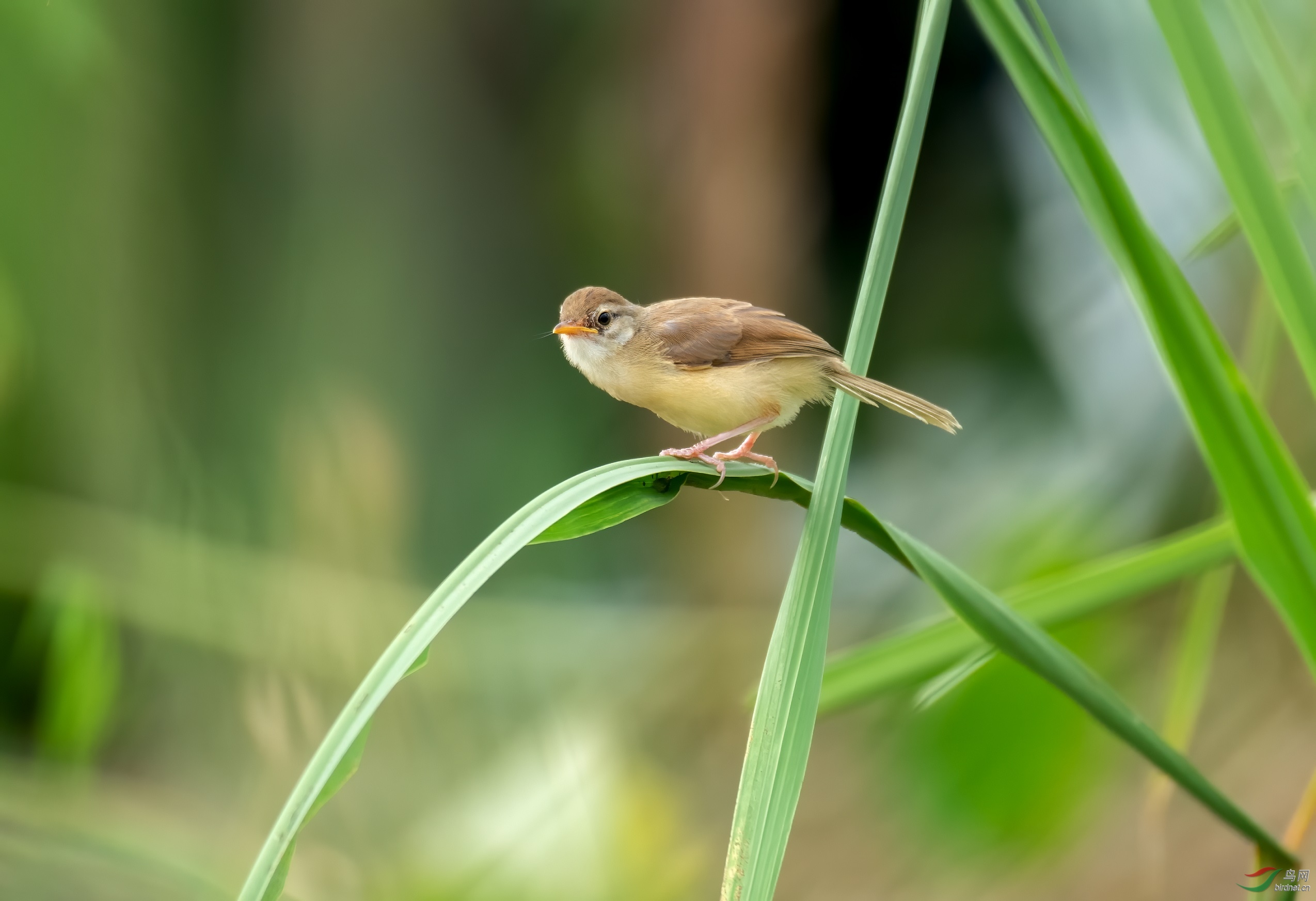 JJY_5192.jpg