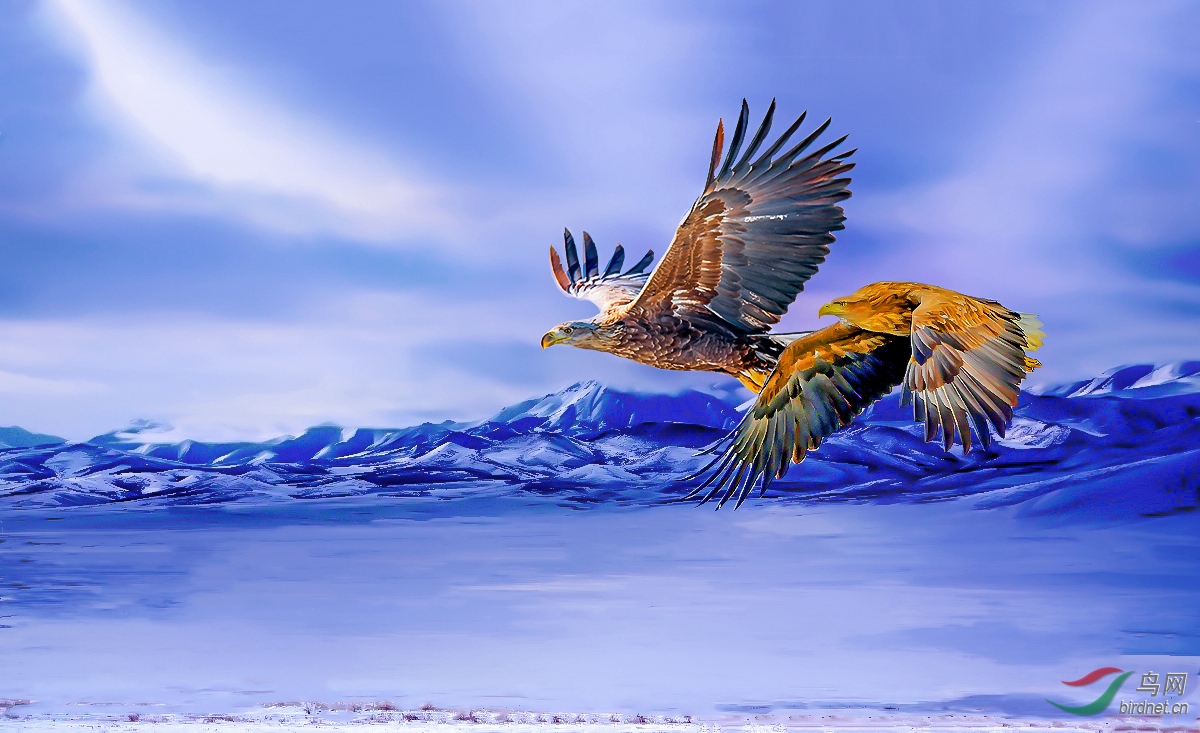 154405t6y757po7n22ls6l (4)_����.jpg