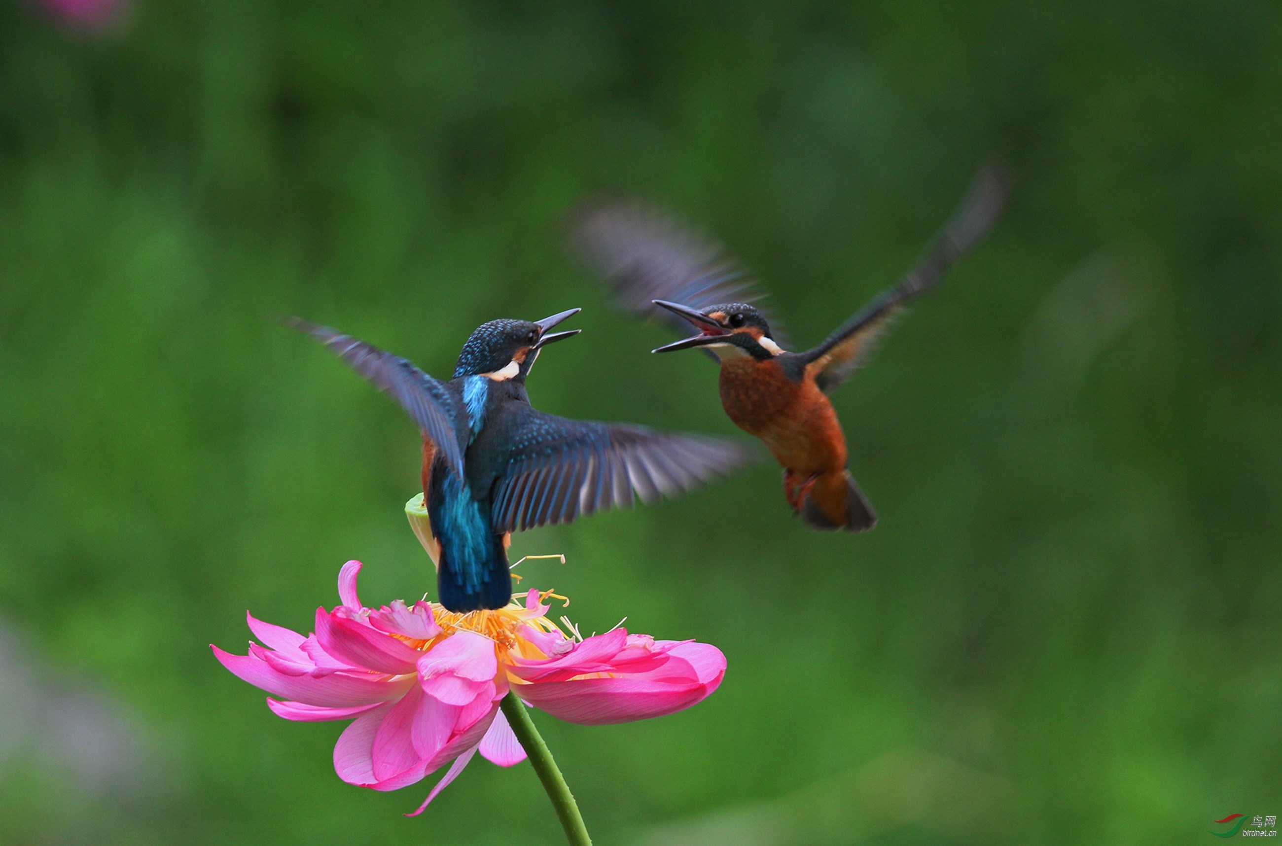 2016.7.���� 404.jpg