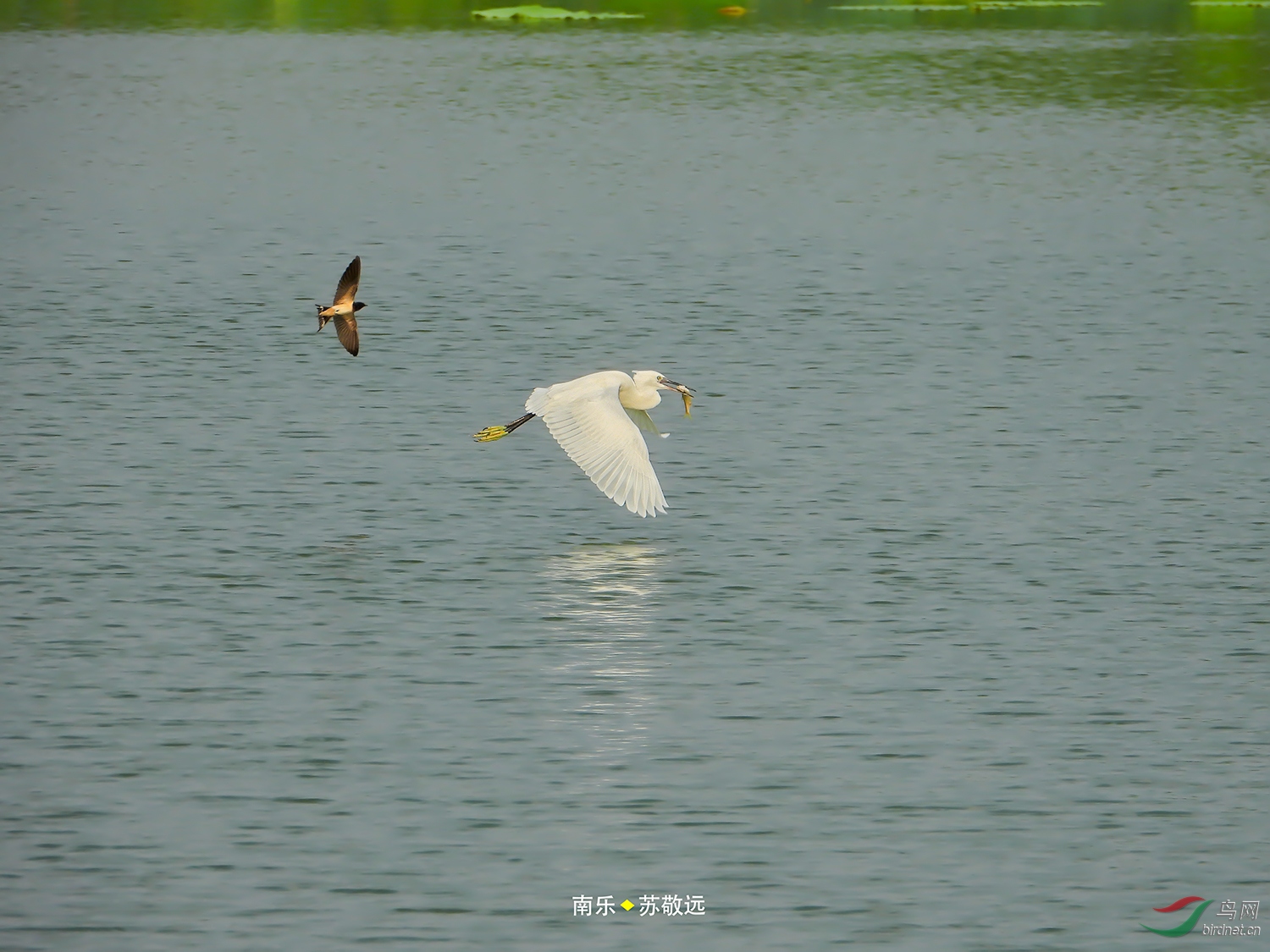 DSCN0308СС.jpg