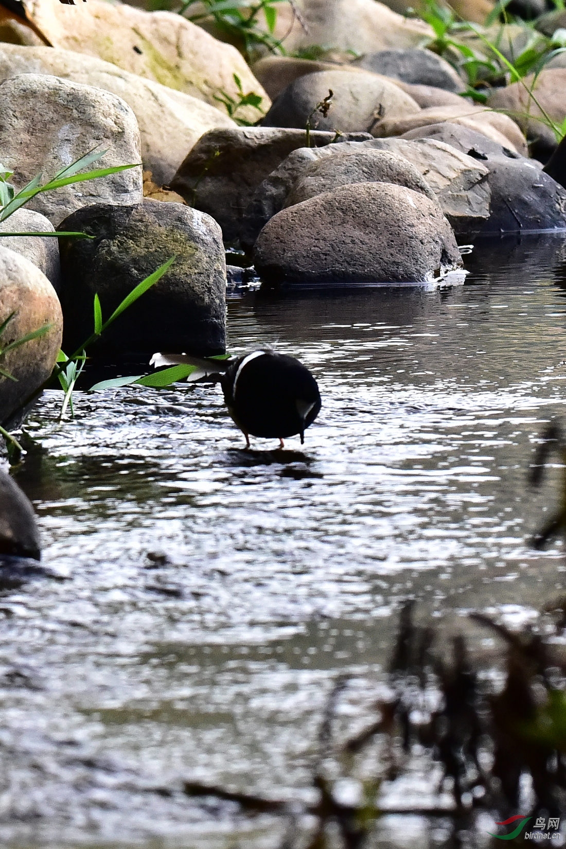 DSC_0851.JPG