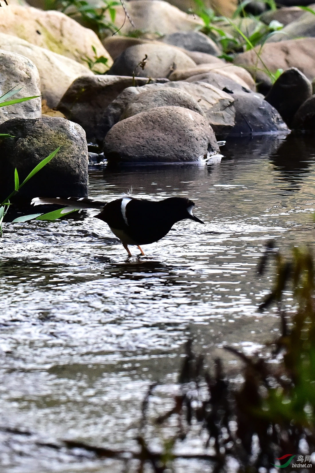 DSC_0853.JPG
