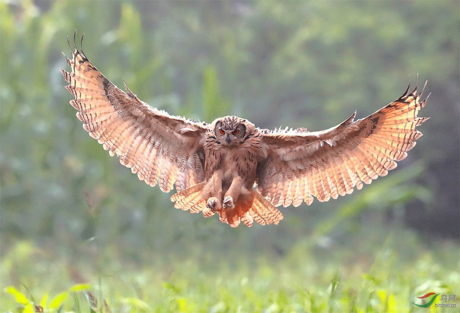 3334 - ����.jpg