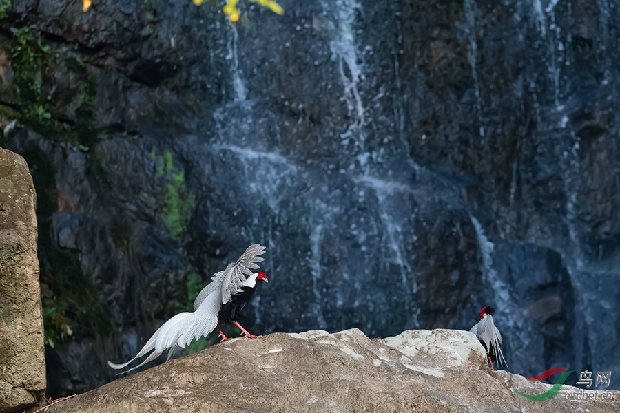 DSC_0731_DxOa.jpg