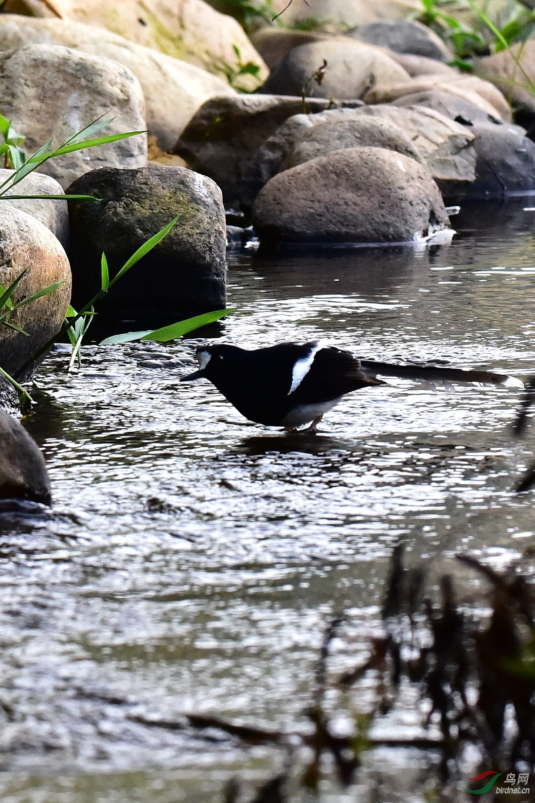DSC_0855.JPG
