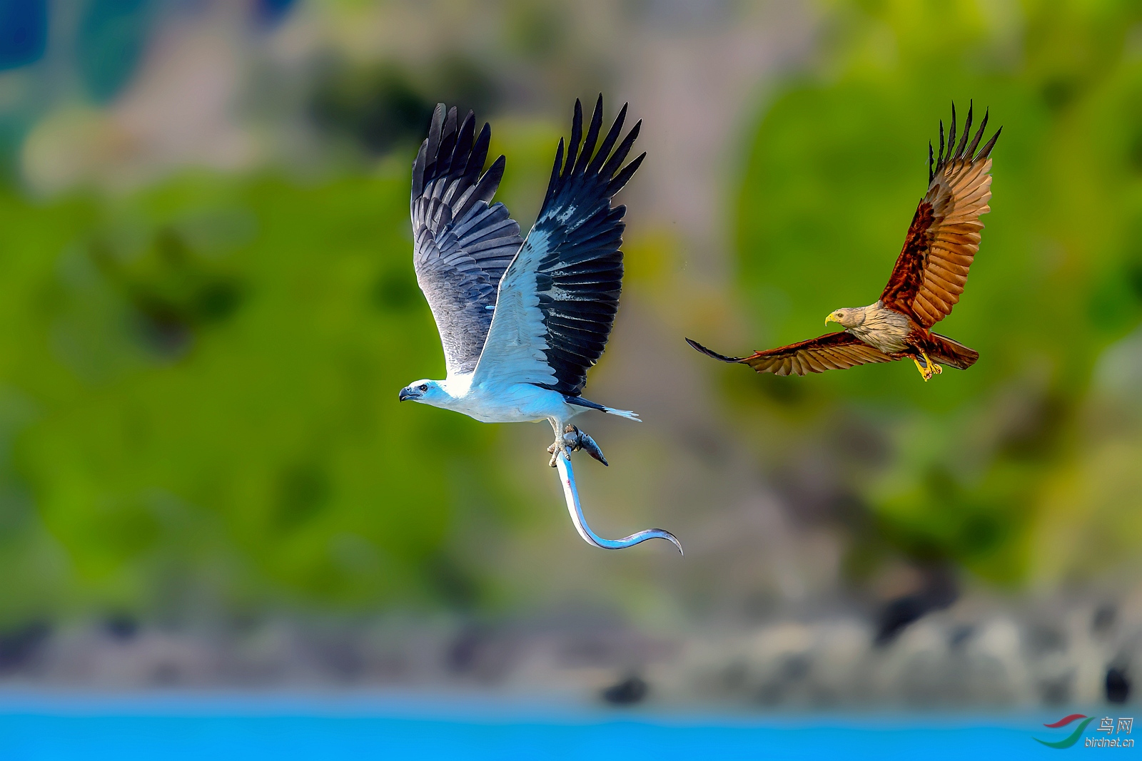 DSC_8483_����_����_���� (2).jpg