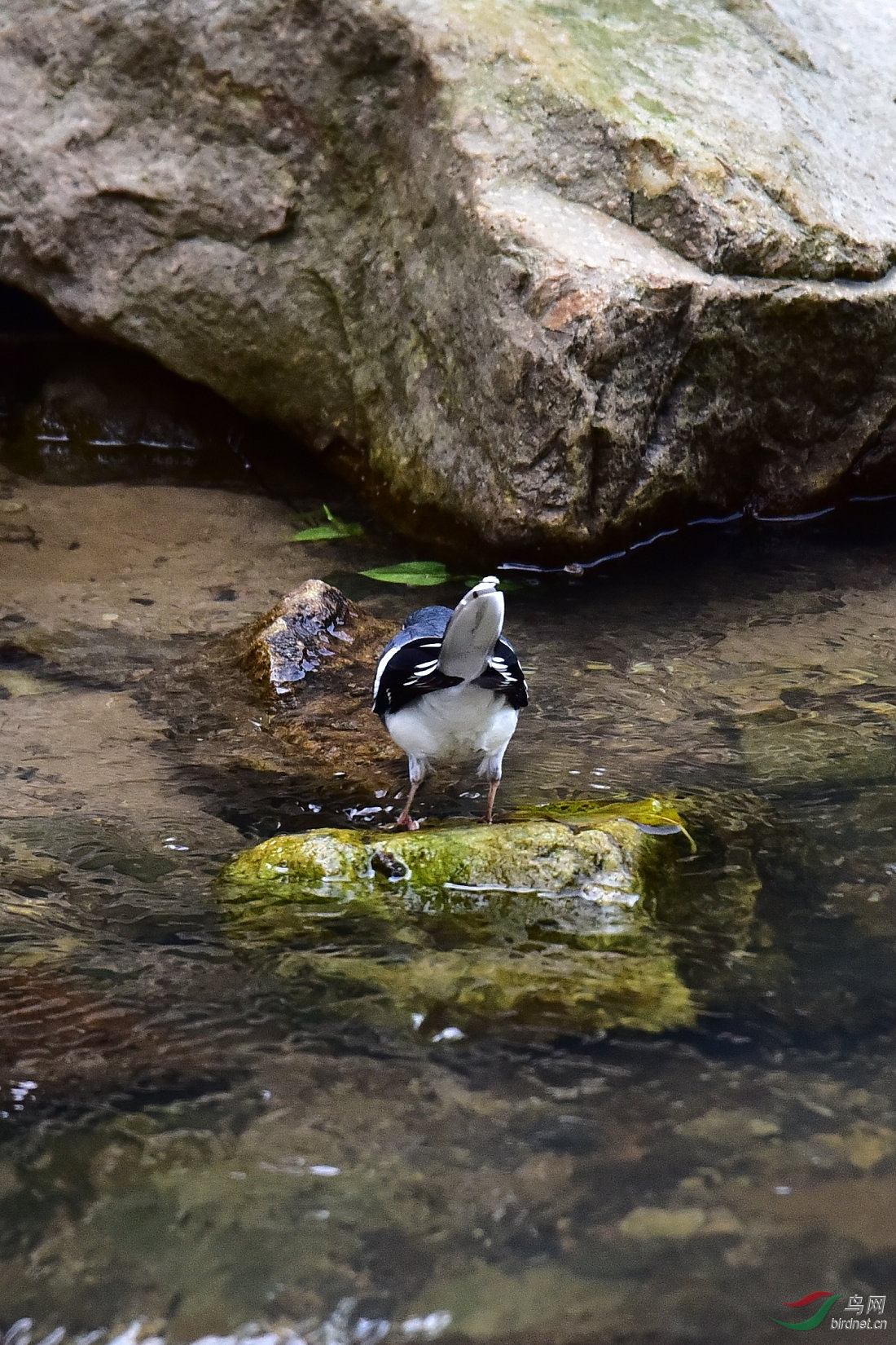 DSC_0861.JPG