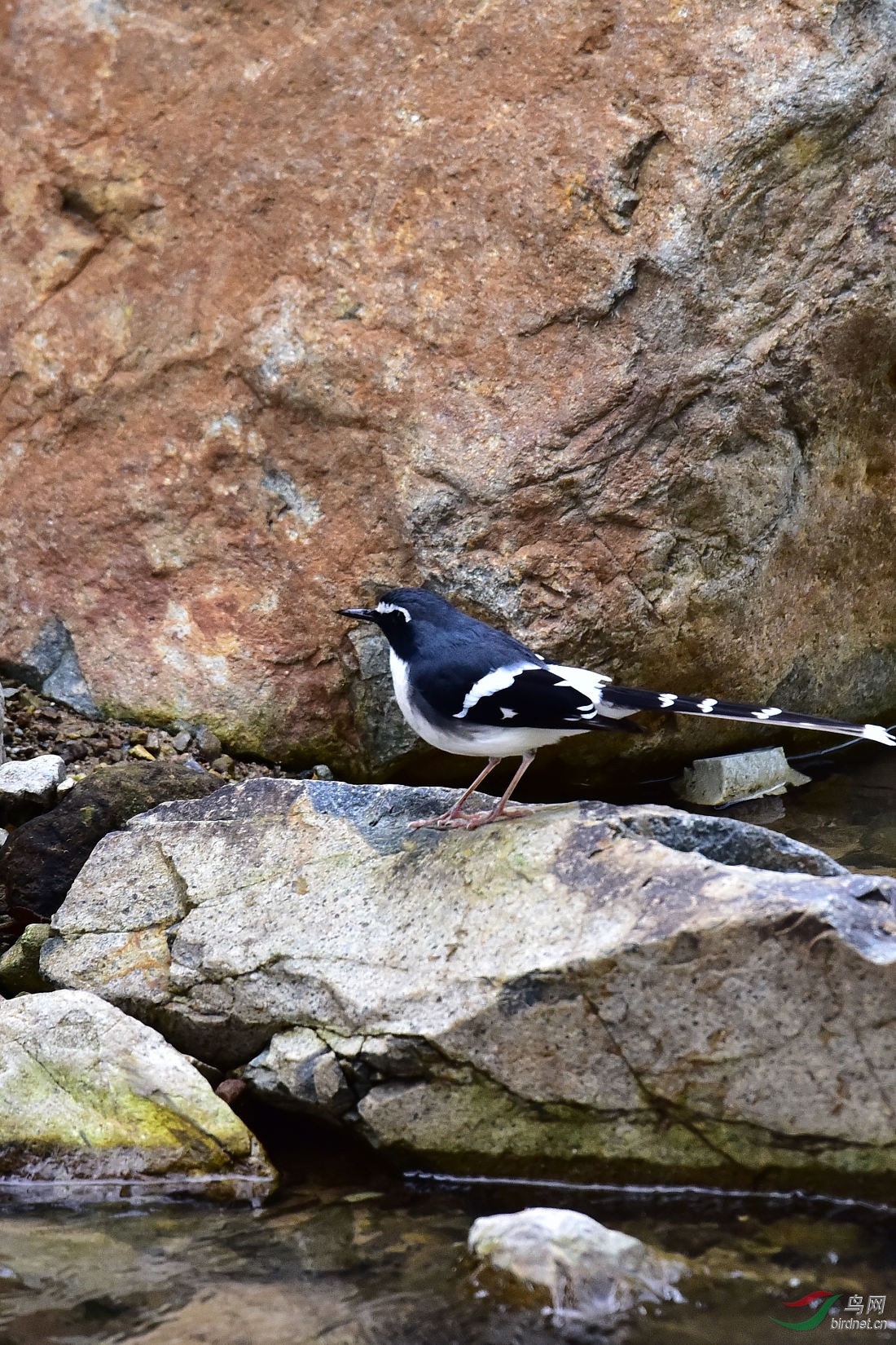 DSC_0865.JPG