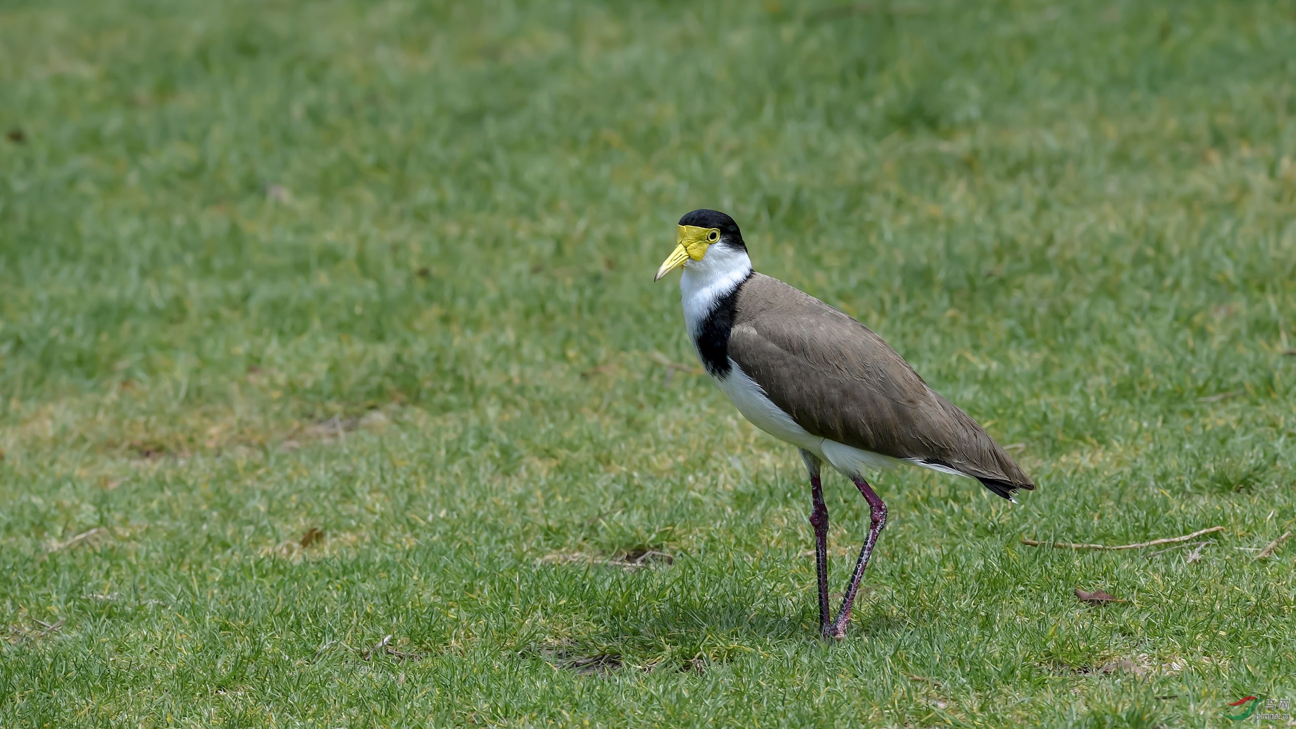 DSC_42781.jpg