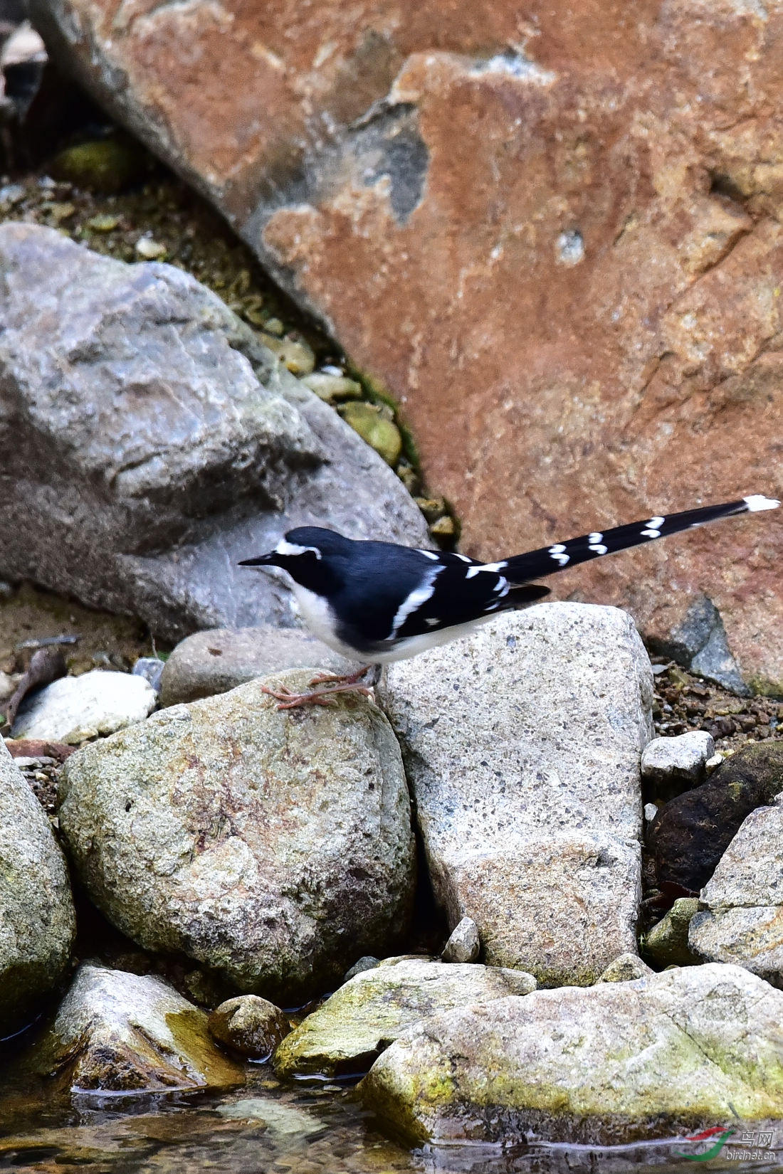 DSC_0867.JPG