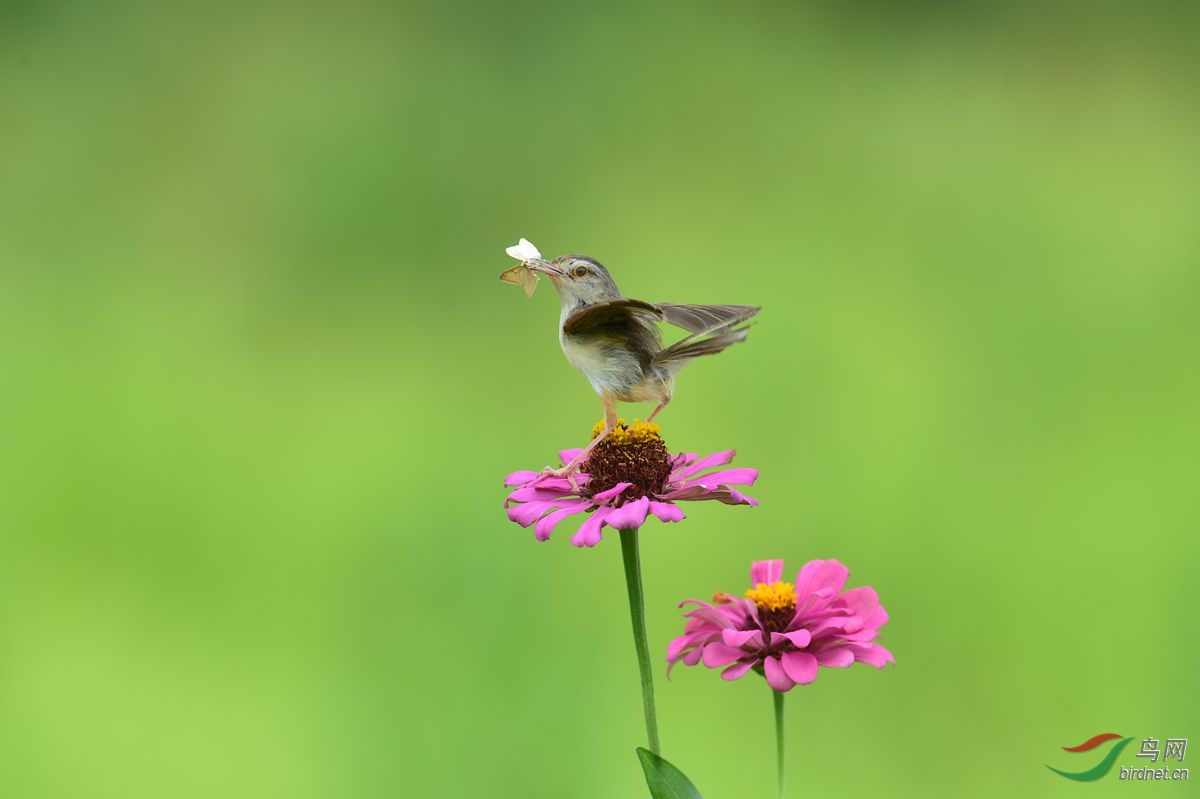 DSC_5897.JPG