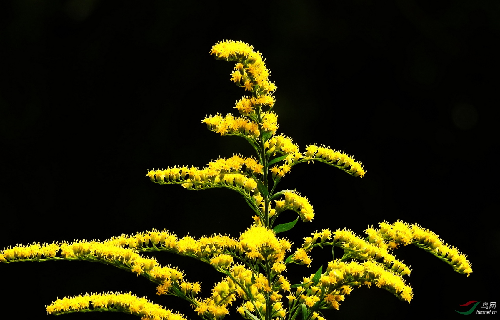 DSCN5636.JPG