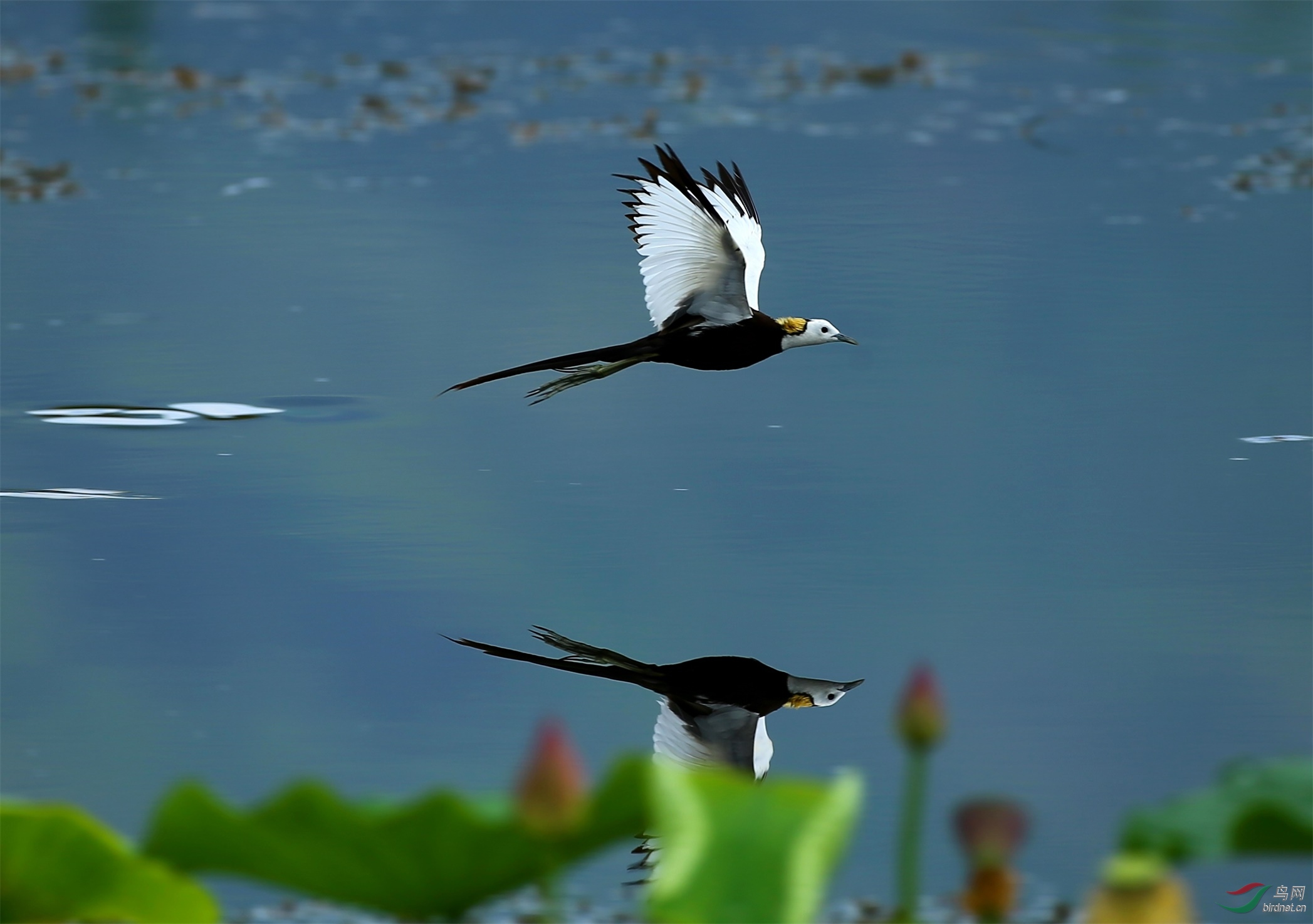 2020.7.29�㣬�ѷ� (4).jpg