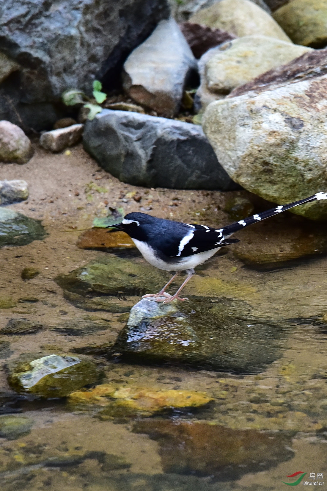 DSC_0871.JPG