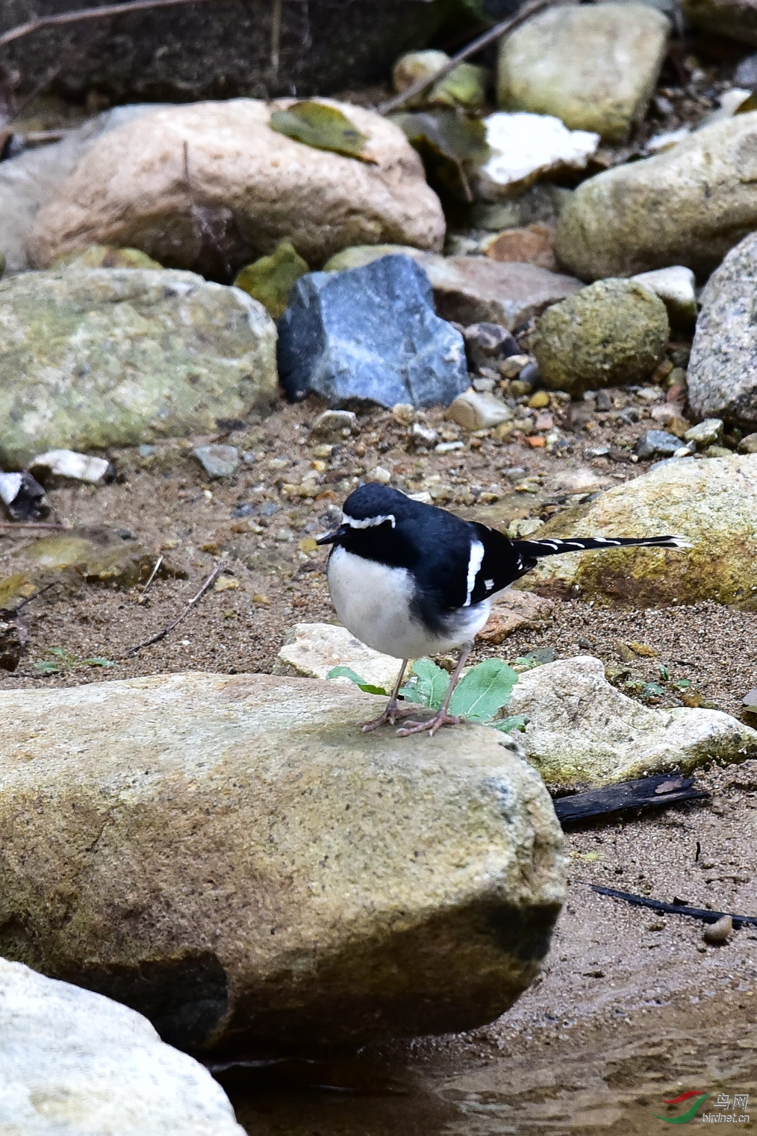 DSC_0874.JPG