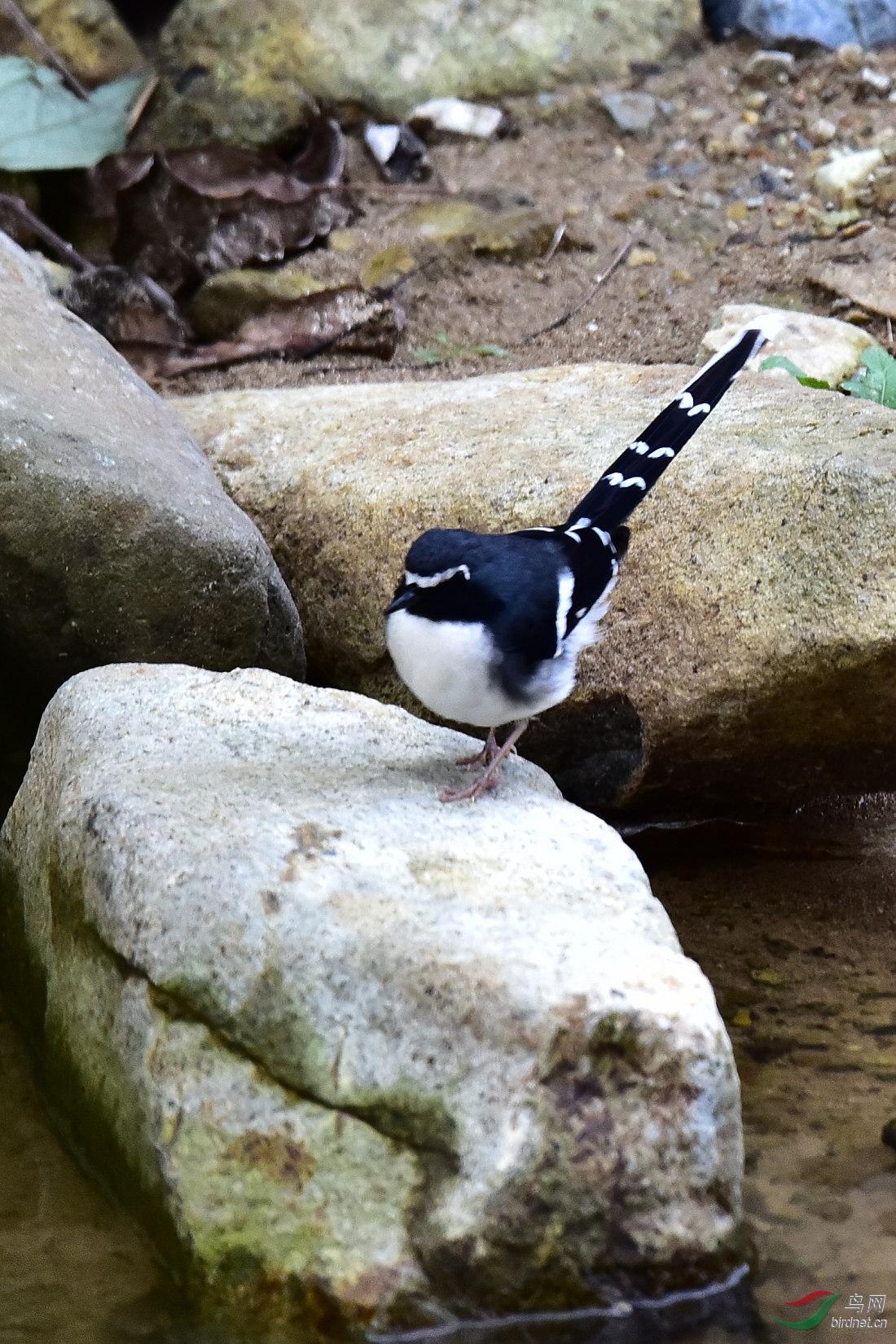 DSC_0876.JPG