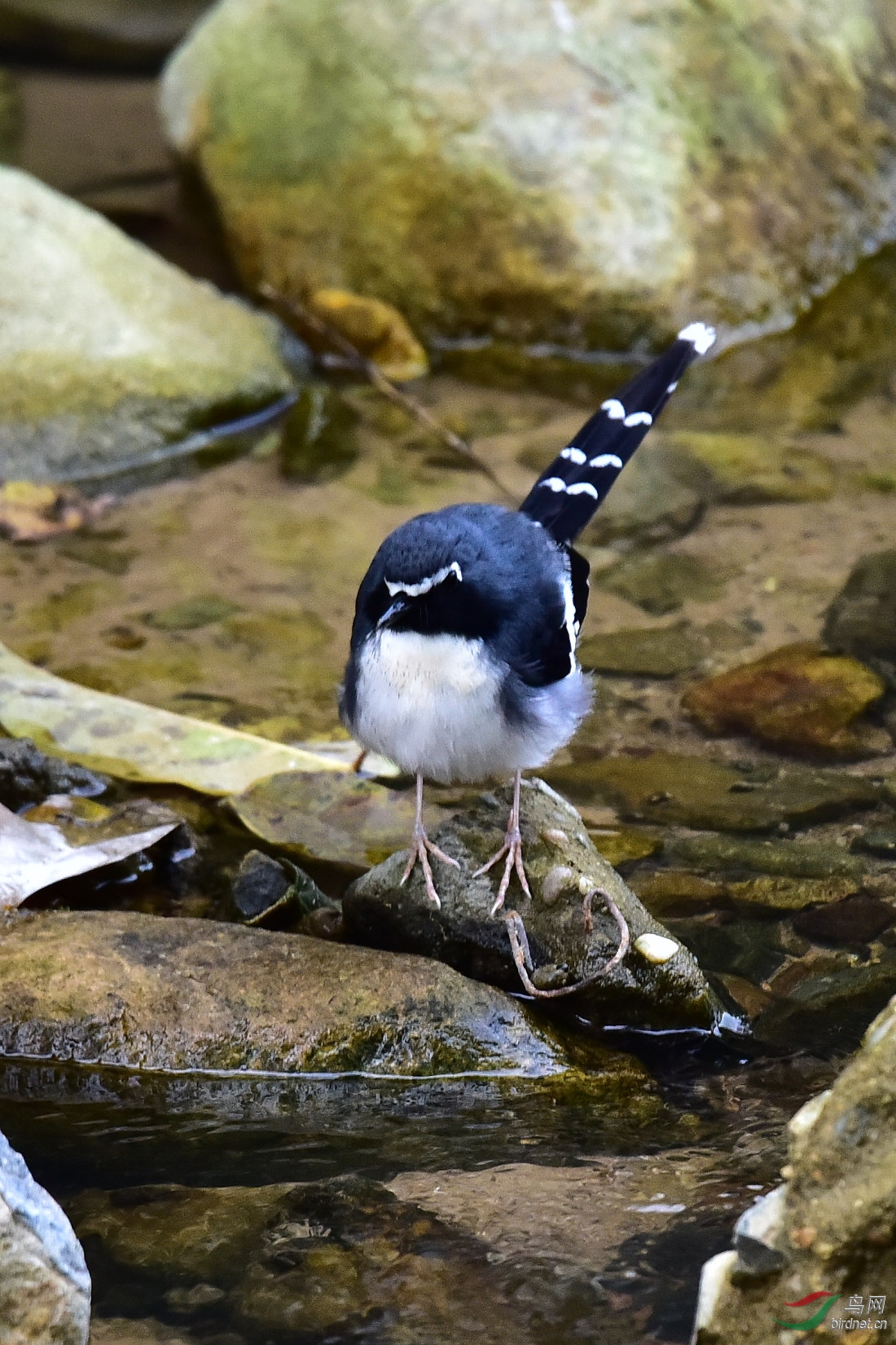 DSC_0881.JPG