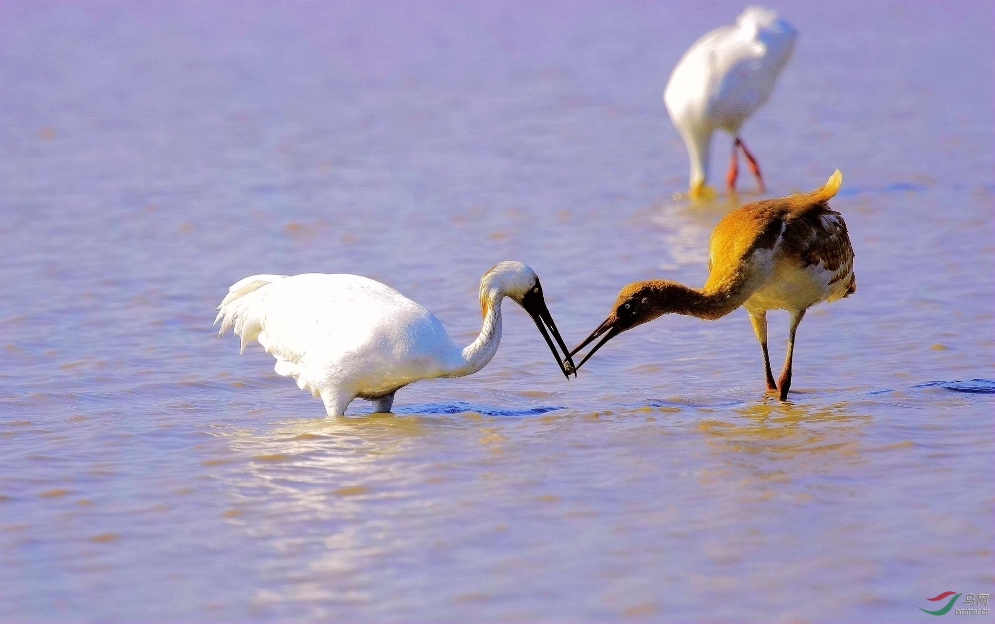 _MGL0062_���� 2000.jpg