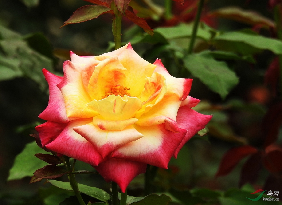 DSCN5568.JPG
