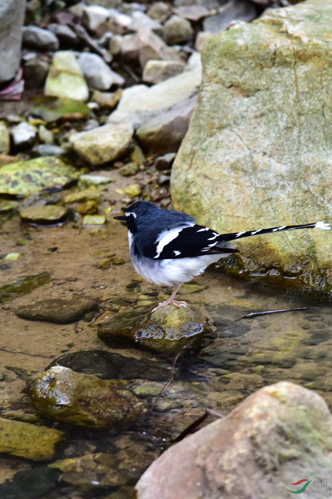 DSC_0884.JPG