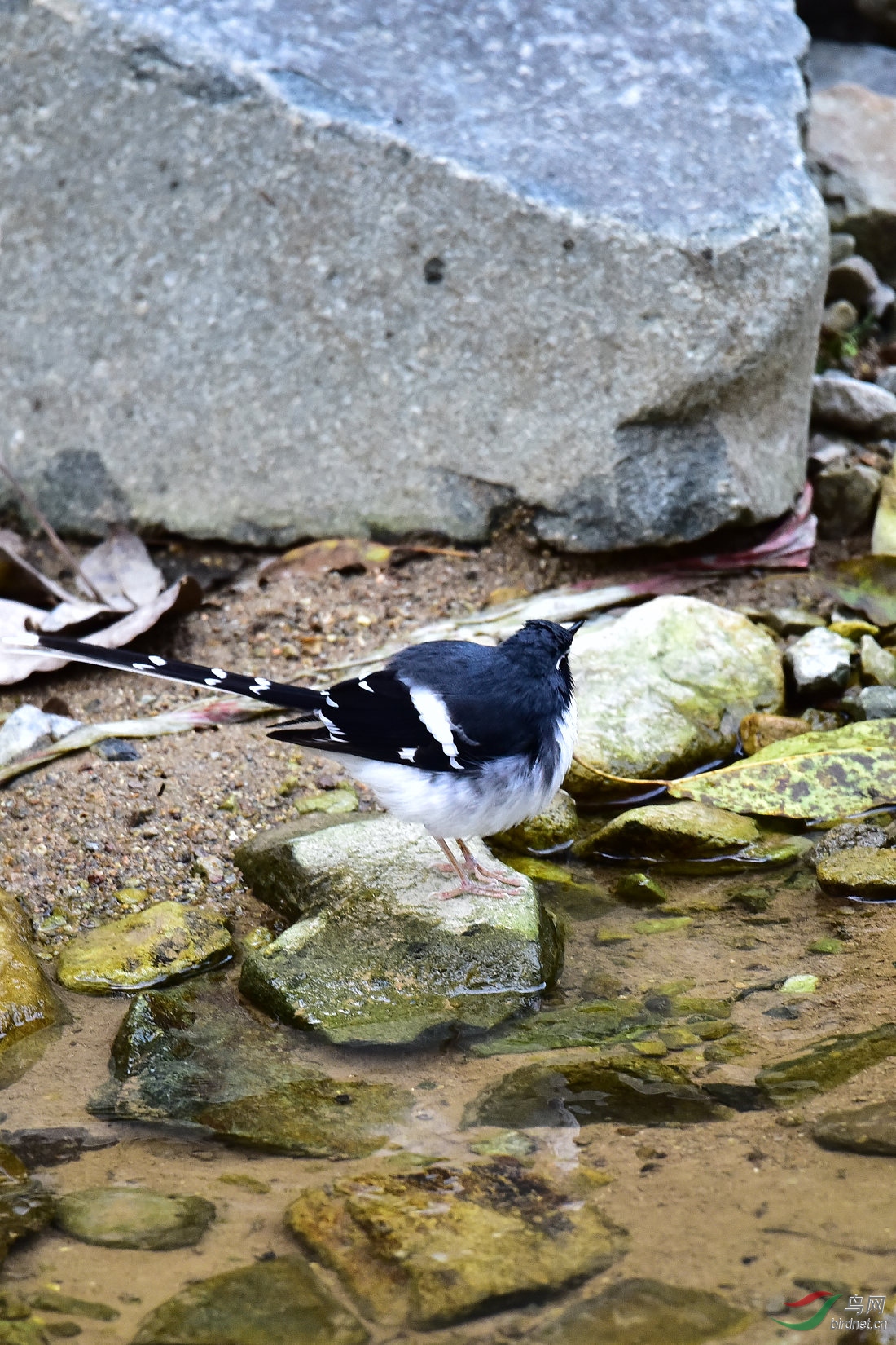 DSC_0886.JPG