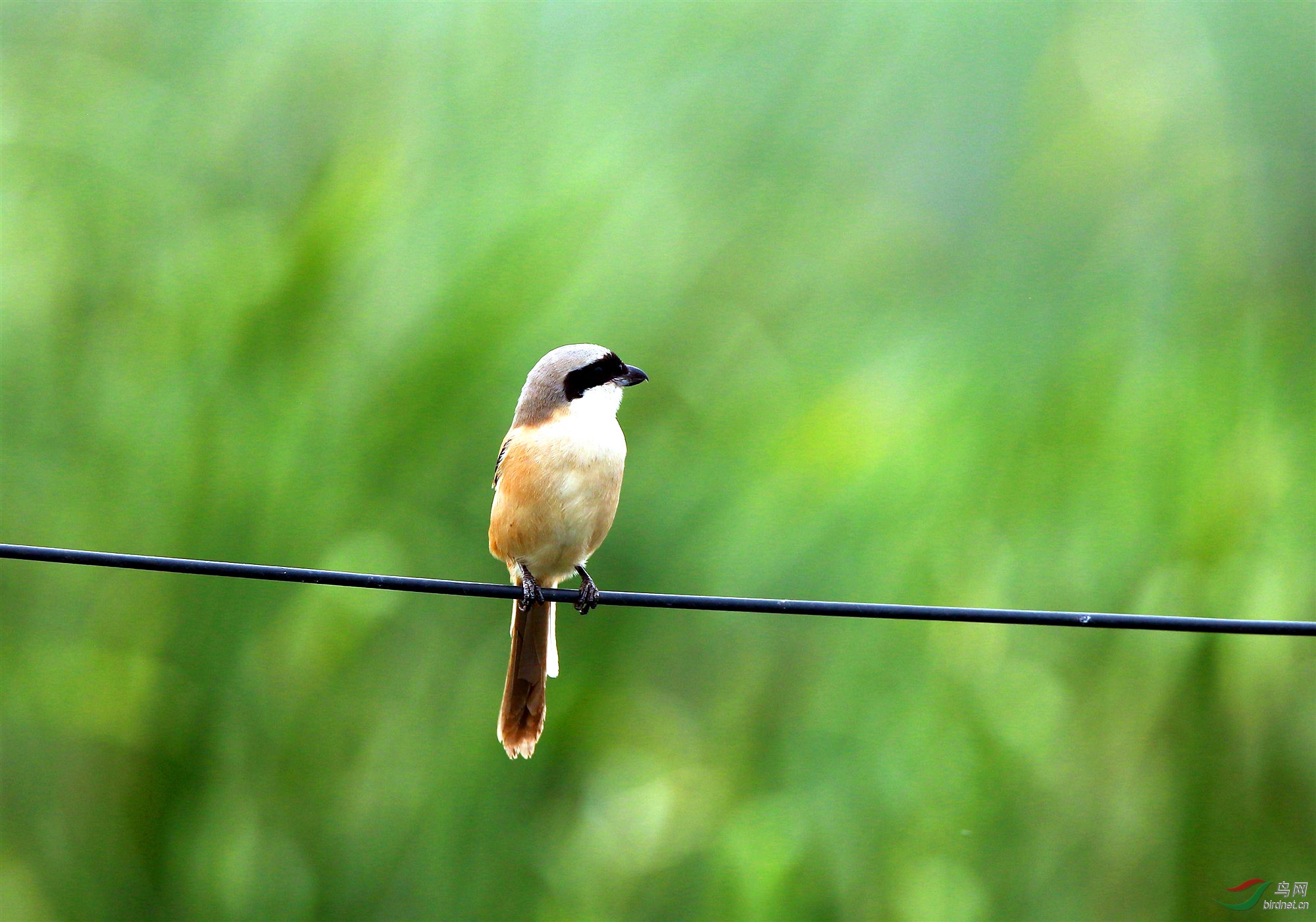 H46R6386_����_���� (2).jpg