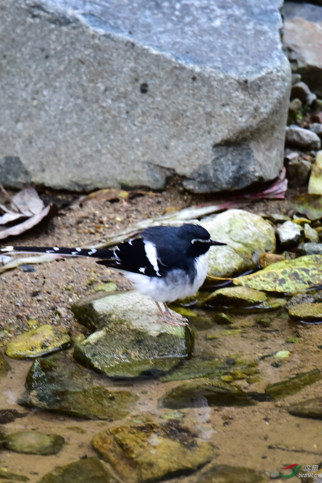 DSC_0889.JPG