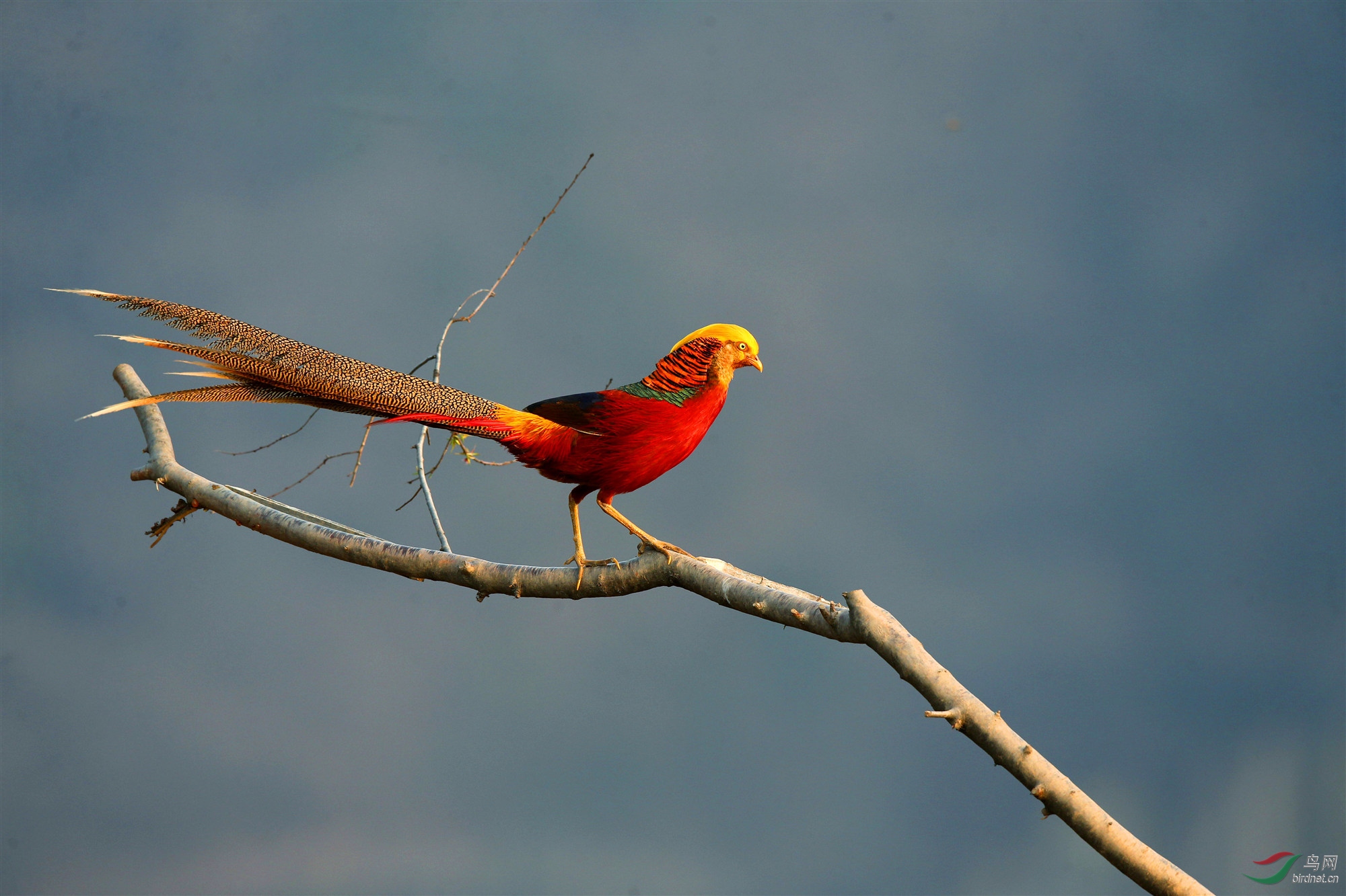 H46R5535_����_���� (2).jpg