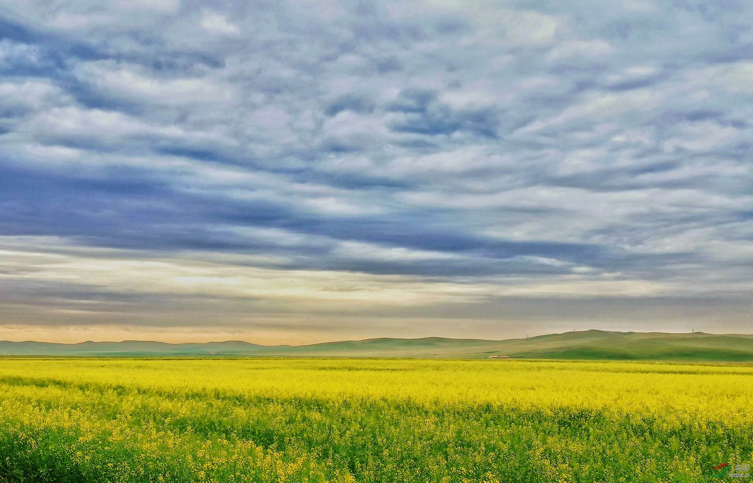 疫情期间草原行之感触
