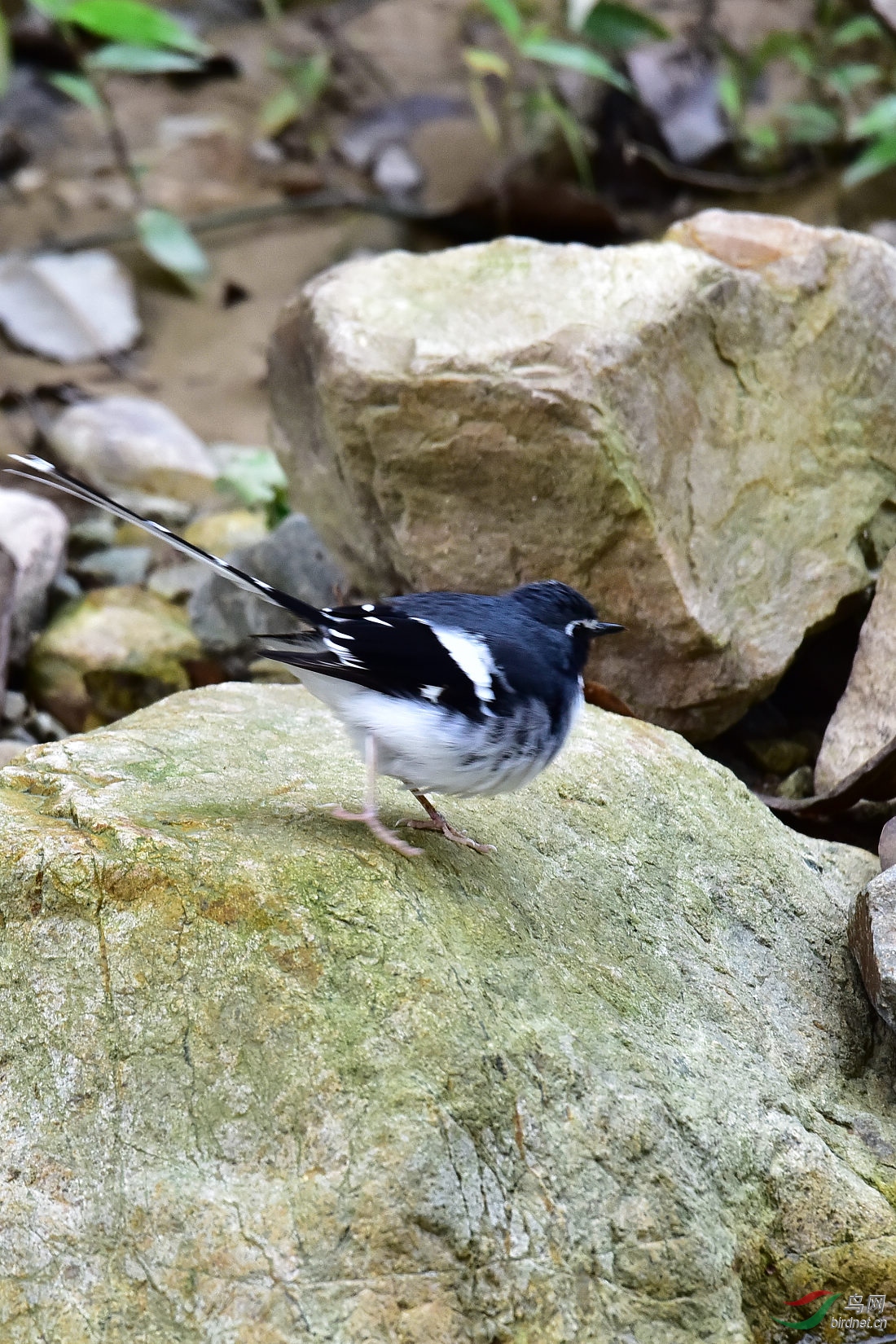 DSC_0891.JPG