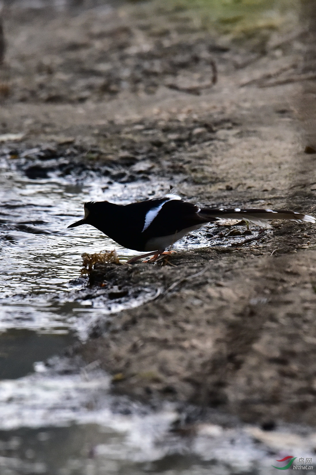 DSC_0893.JPG