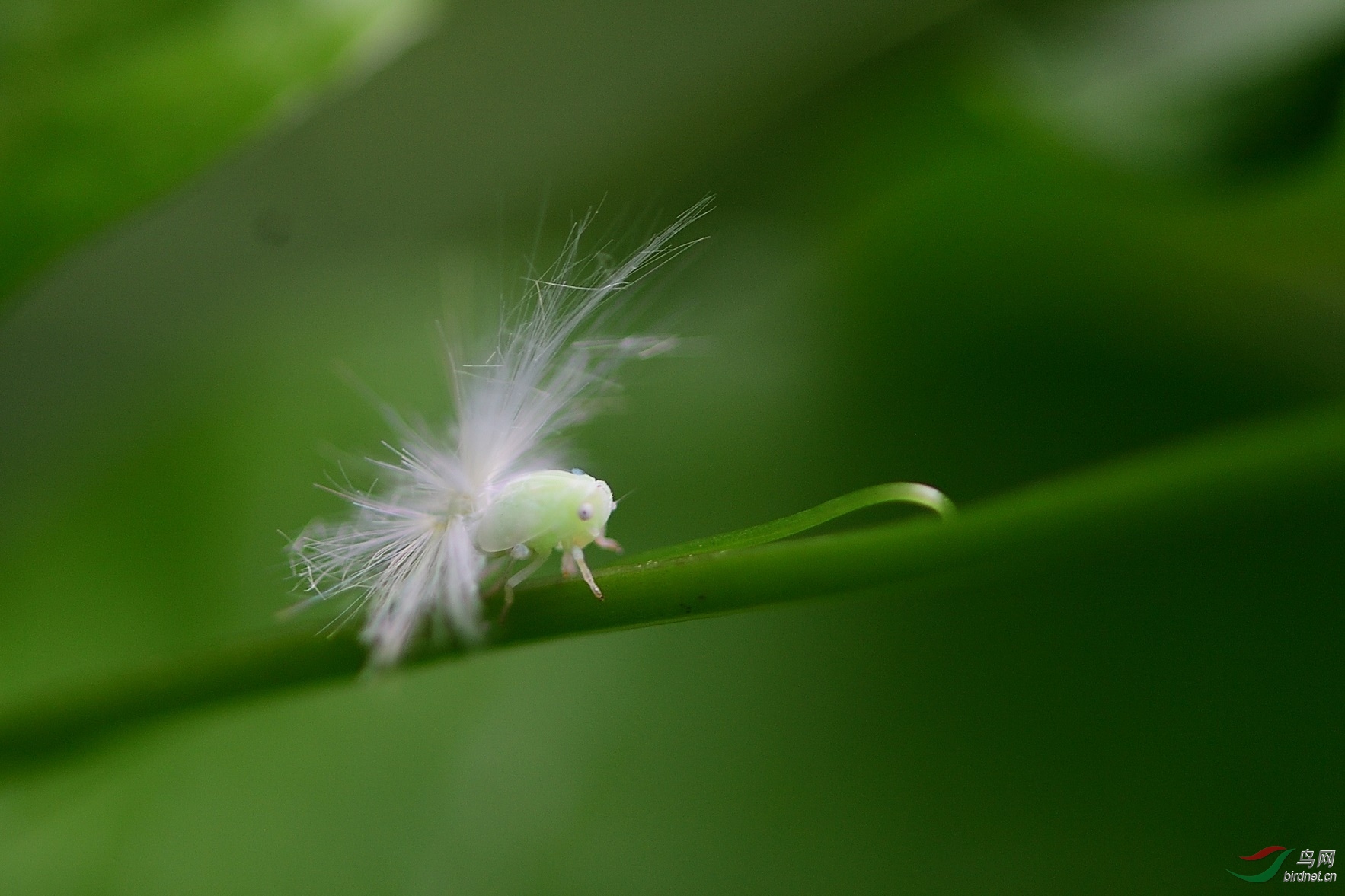 DSC_9458_00001.jpg