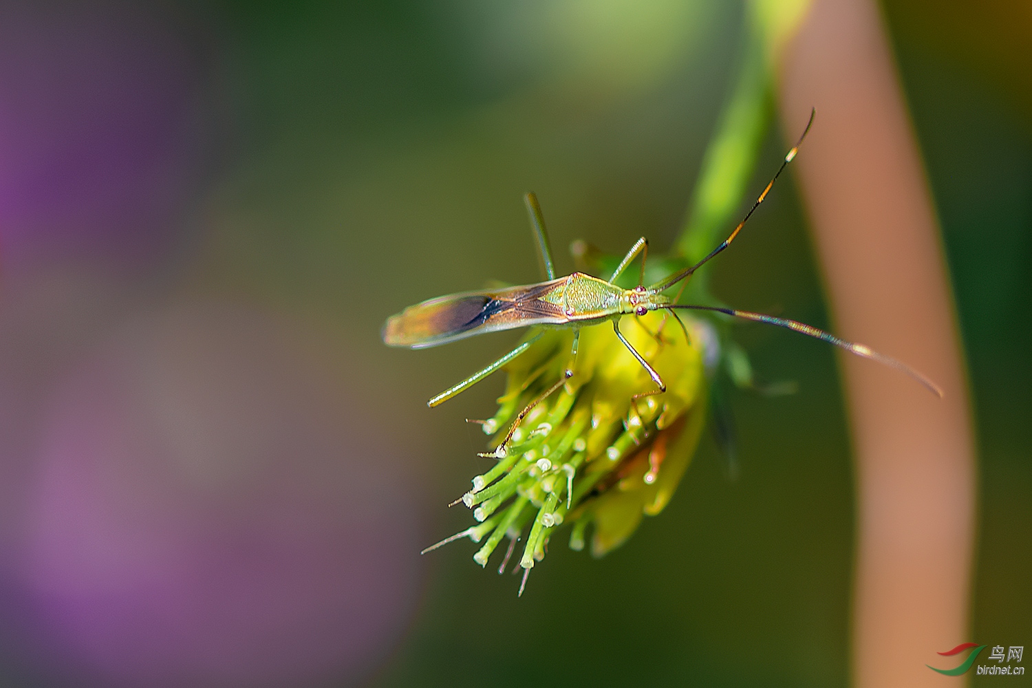 DSC_9297-2.jpg