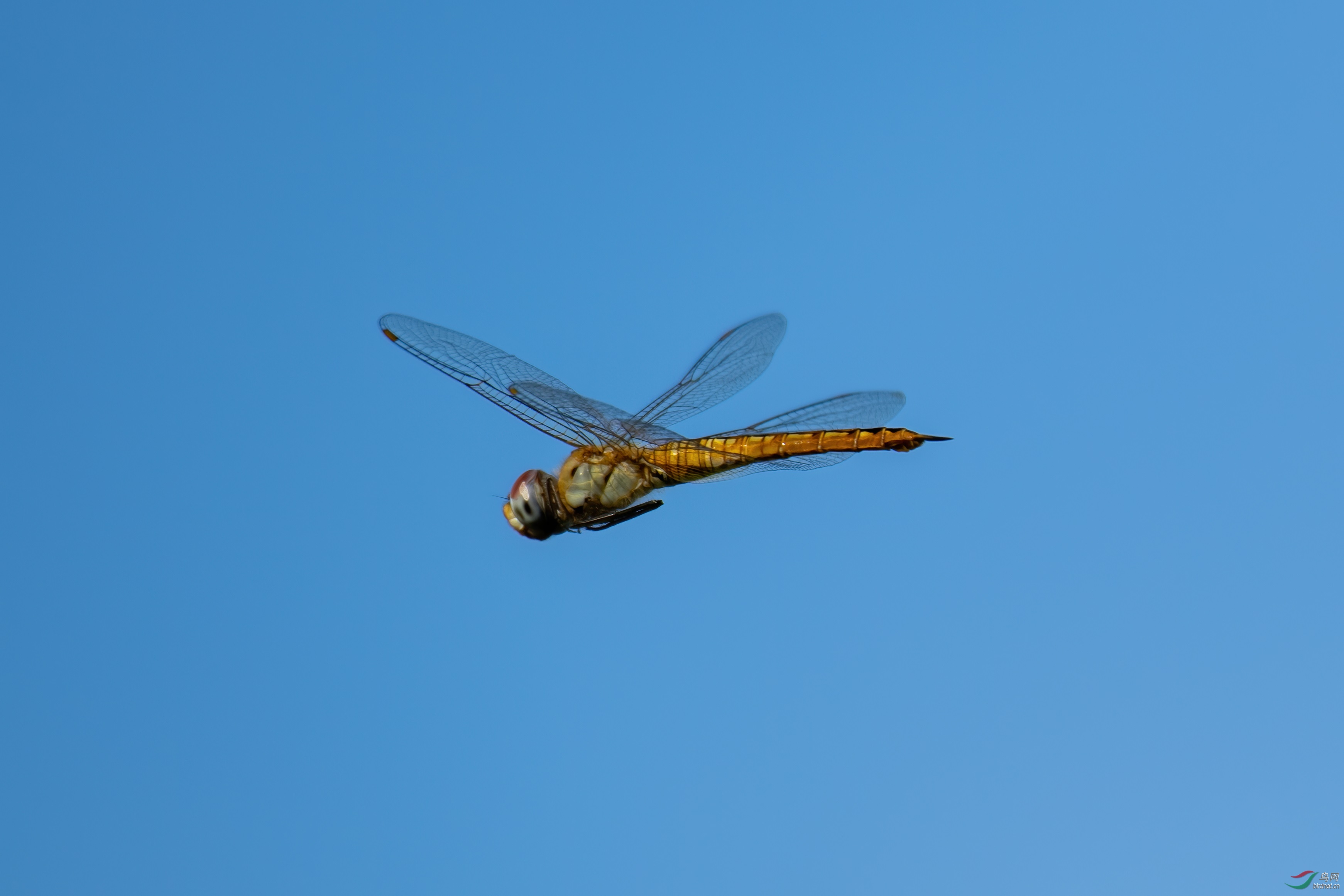 DSC_3173.jpg