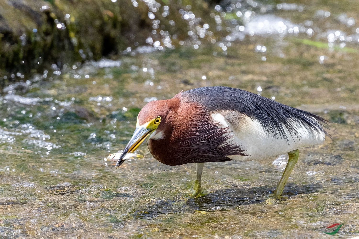 IMG_1163_DxO.jpg